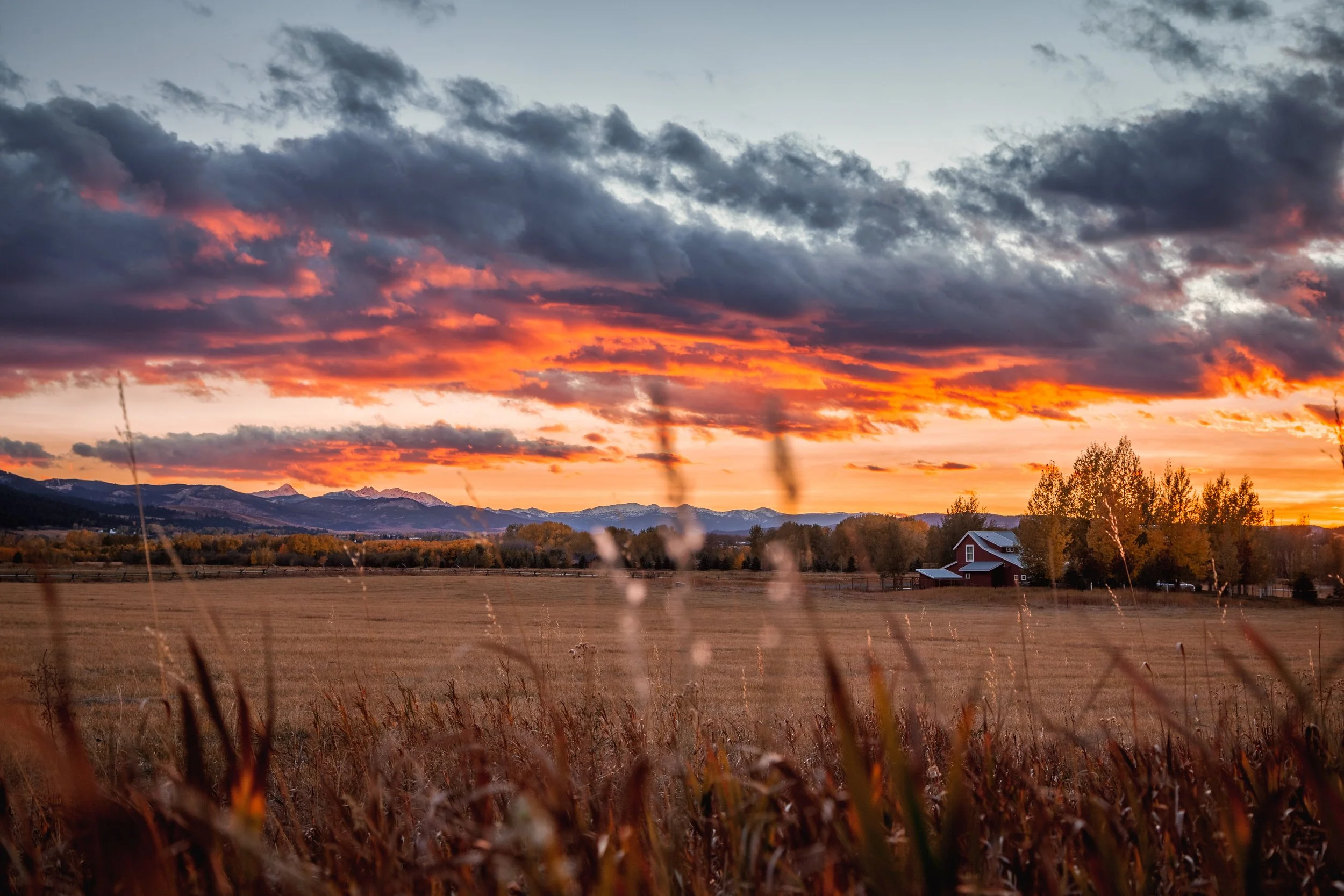 gallatinvalleyfall.jpg