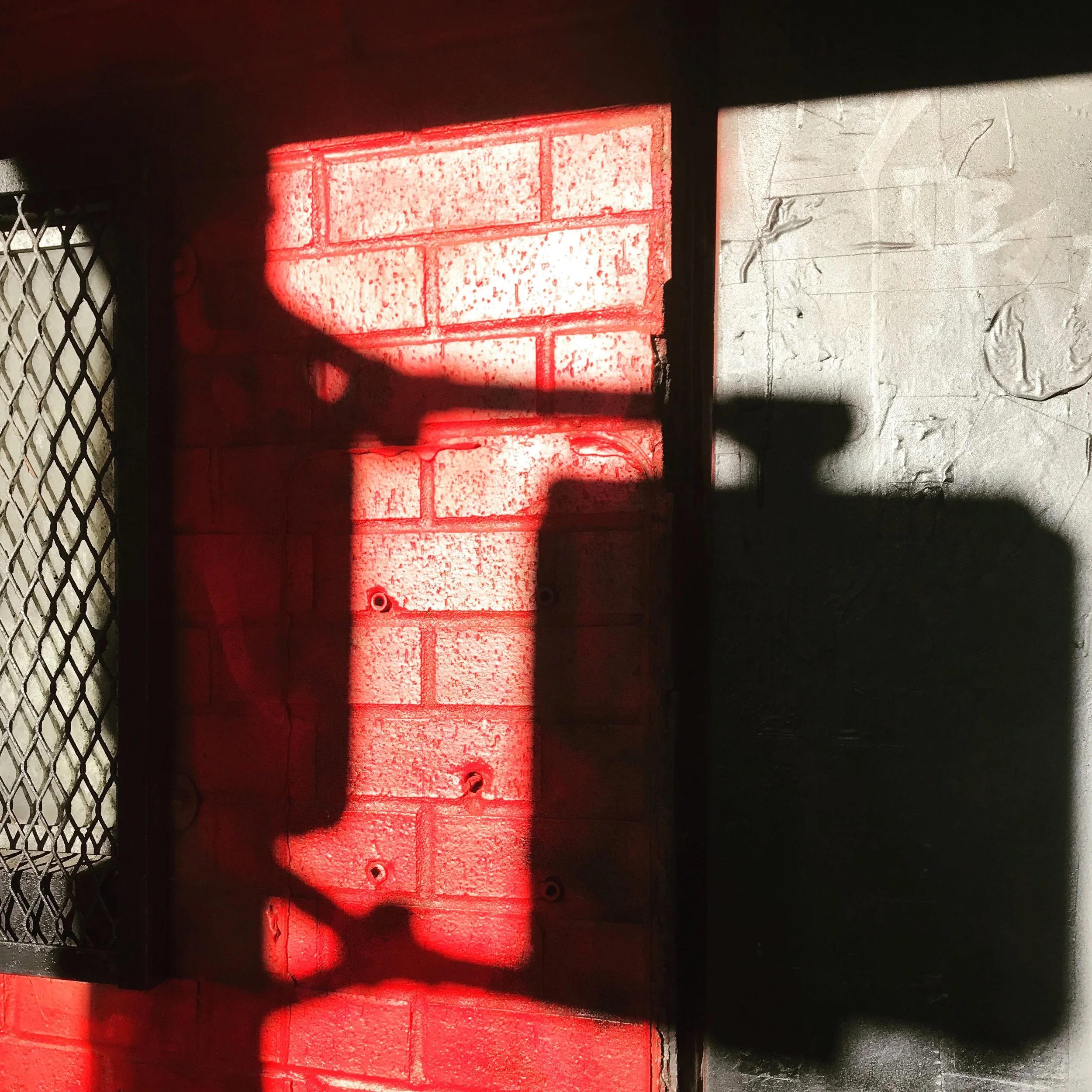 IMG_1197.JPG