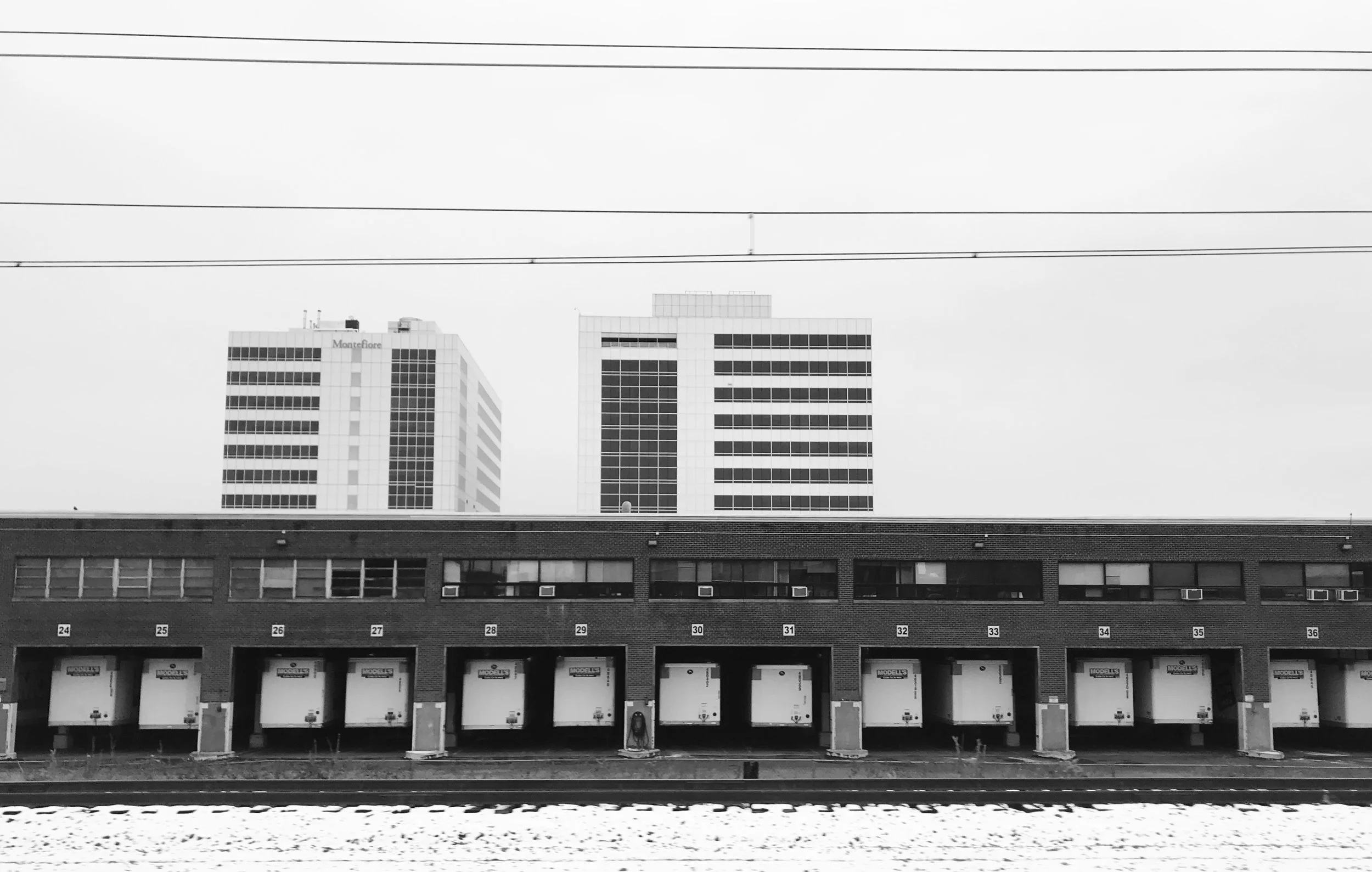 IMG_0523.JPG