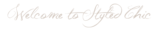 styledchicaboutpageintro.png