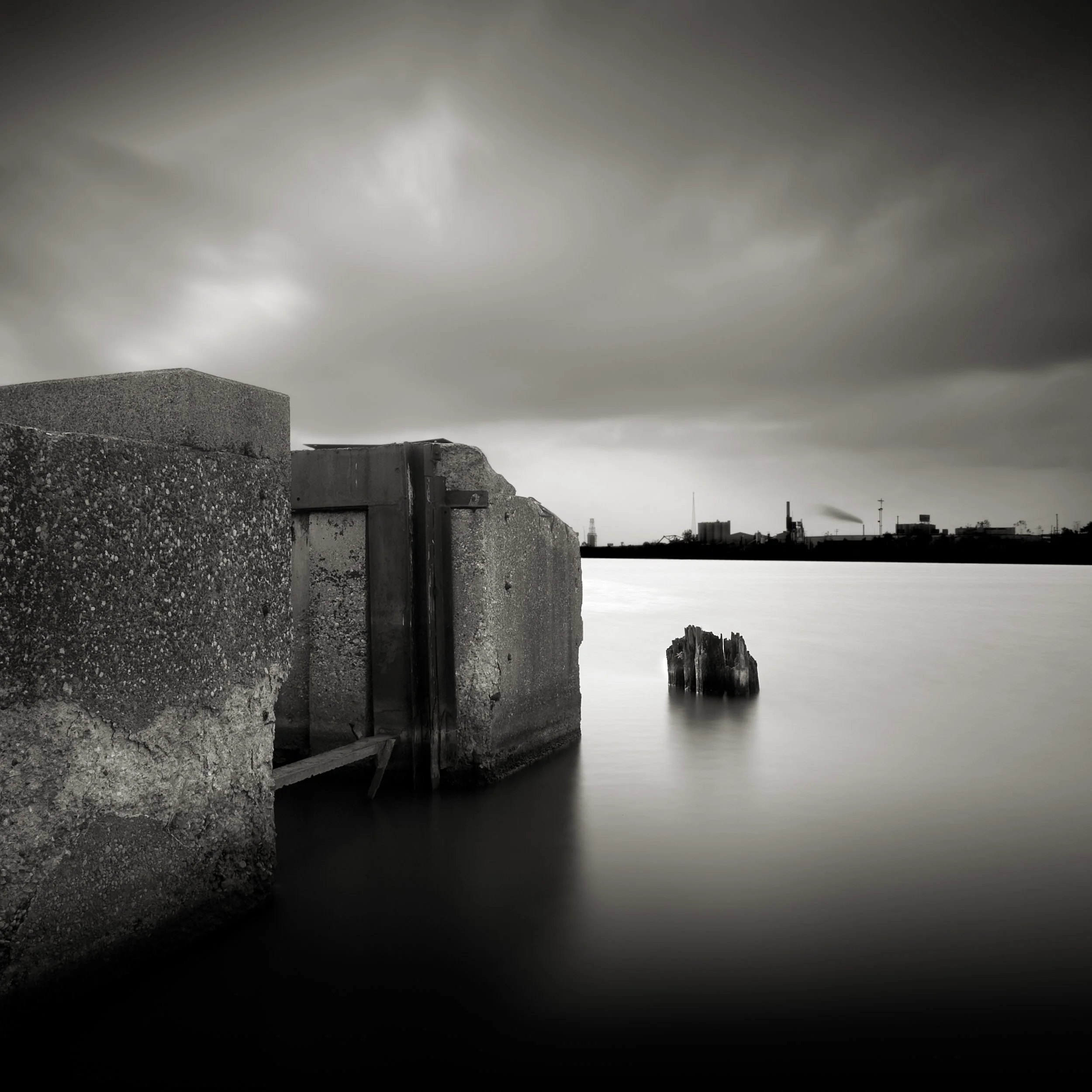 Rouge Remnants: Study II