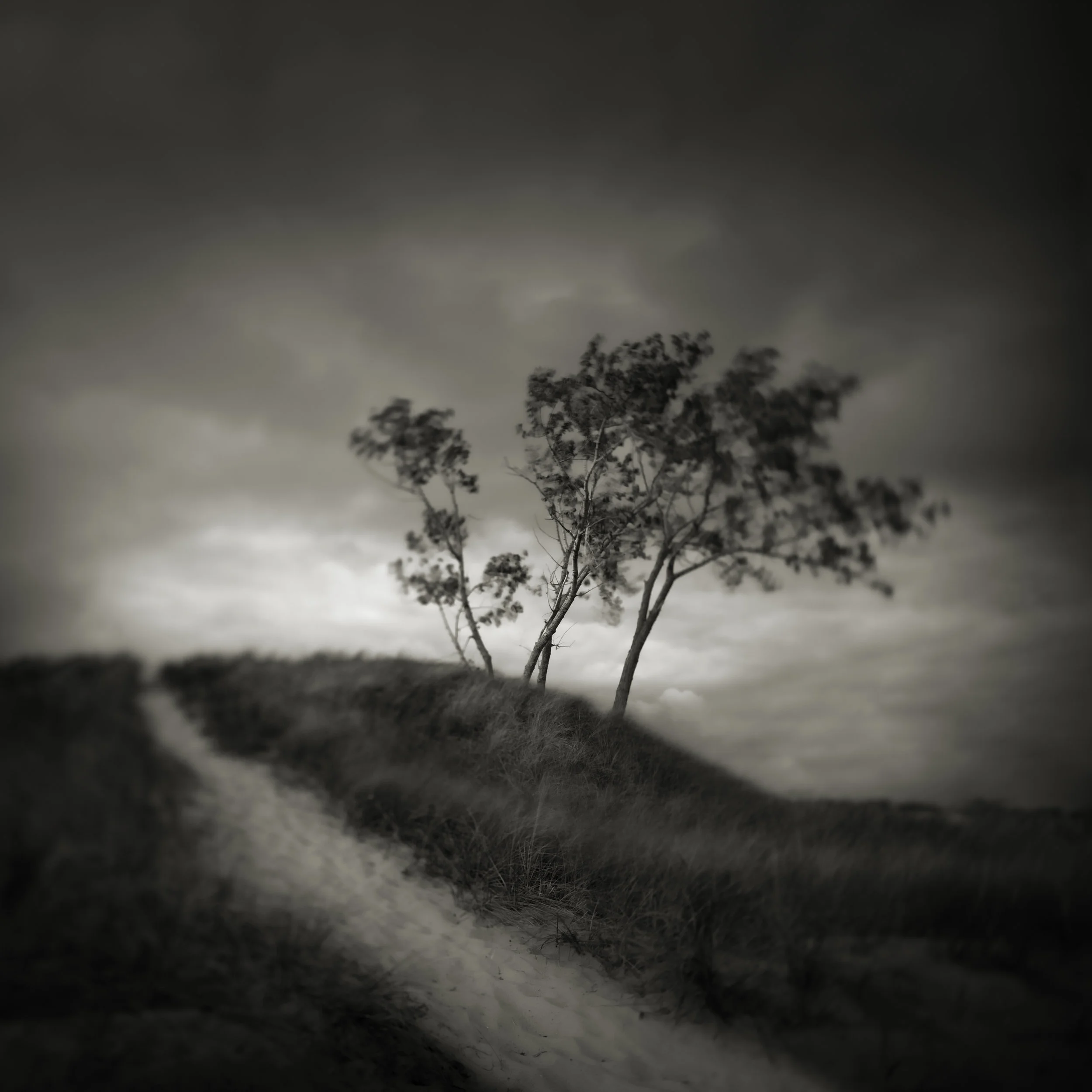 The Path