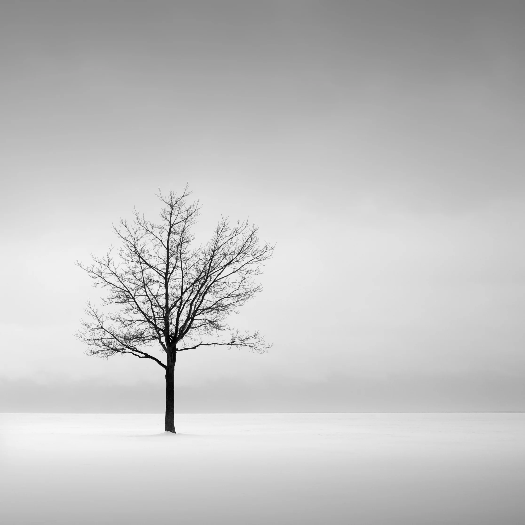 Solitude
