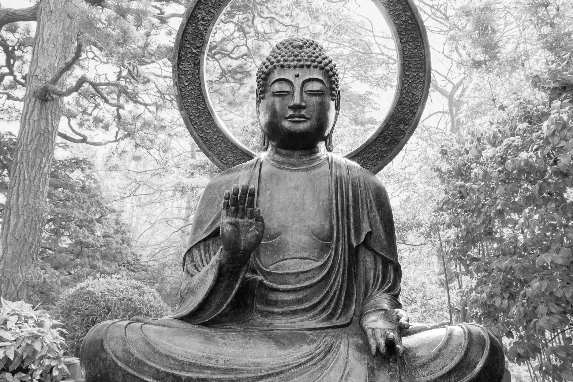 Buddha That Sits Without Shelter