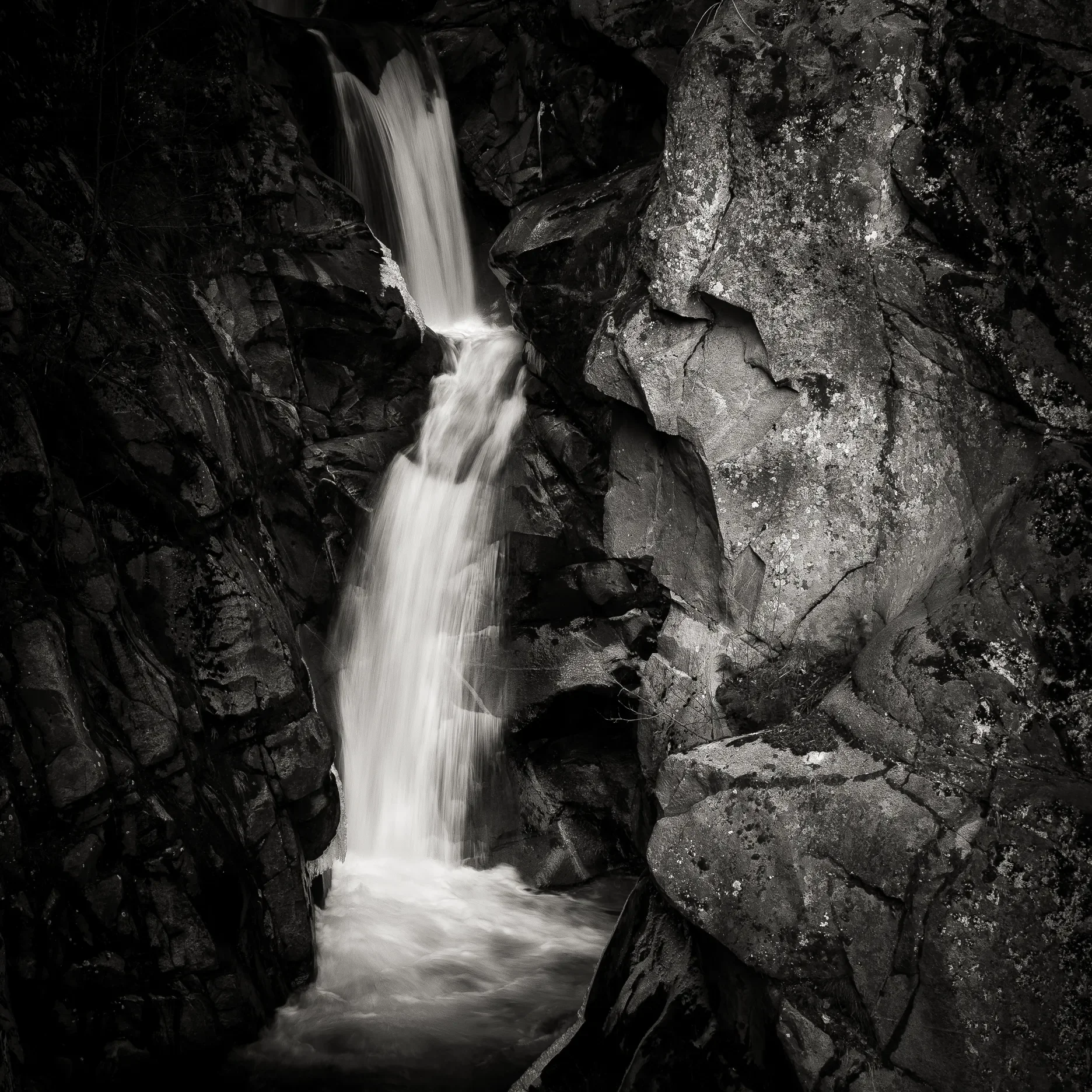 Christine Falls