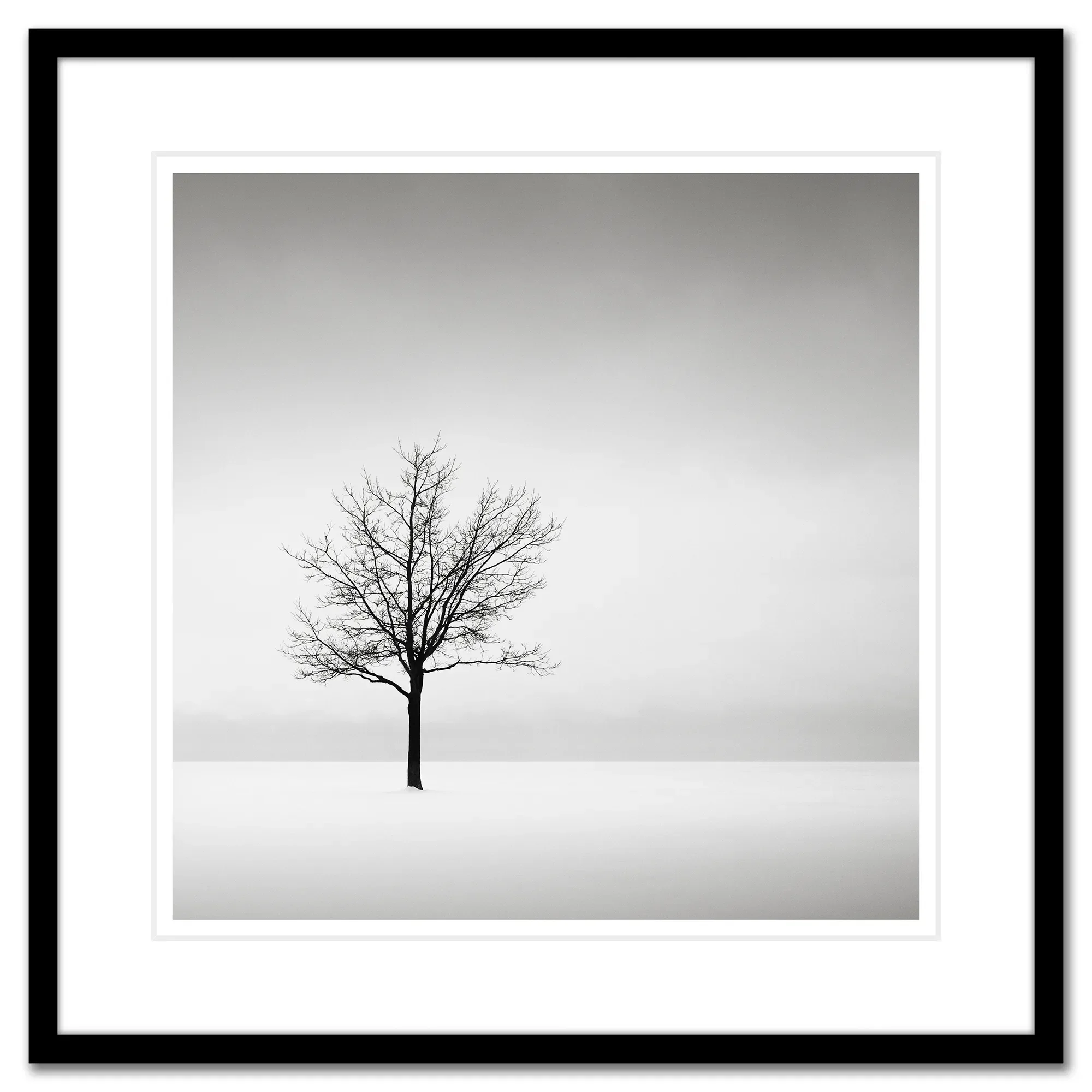 Solitude_Framed.webp