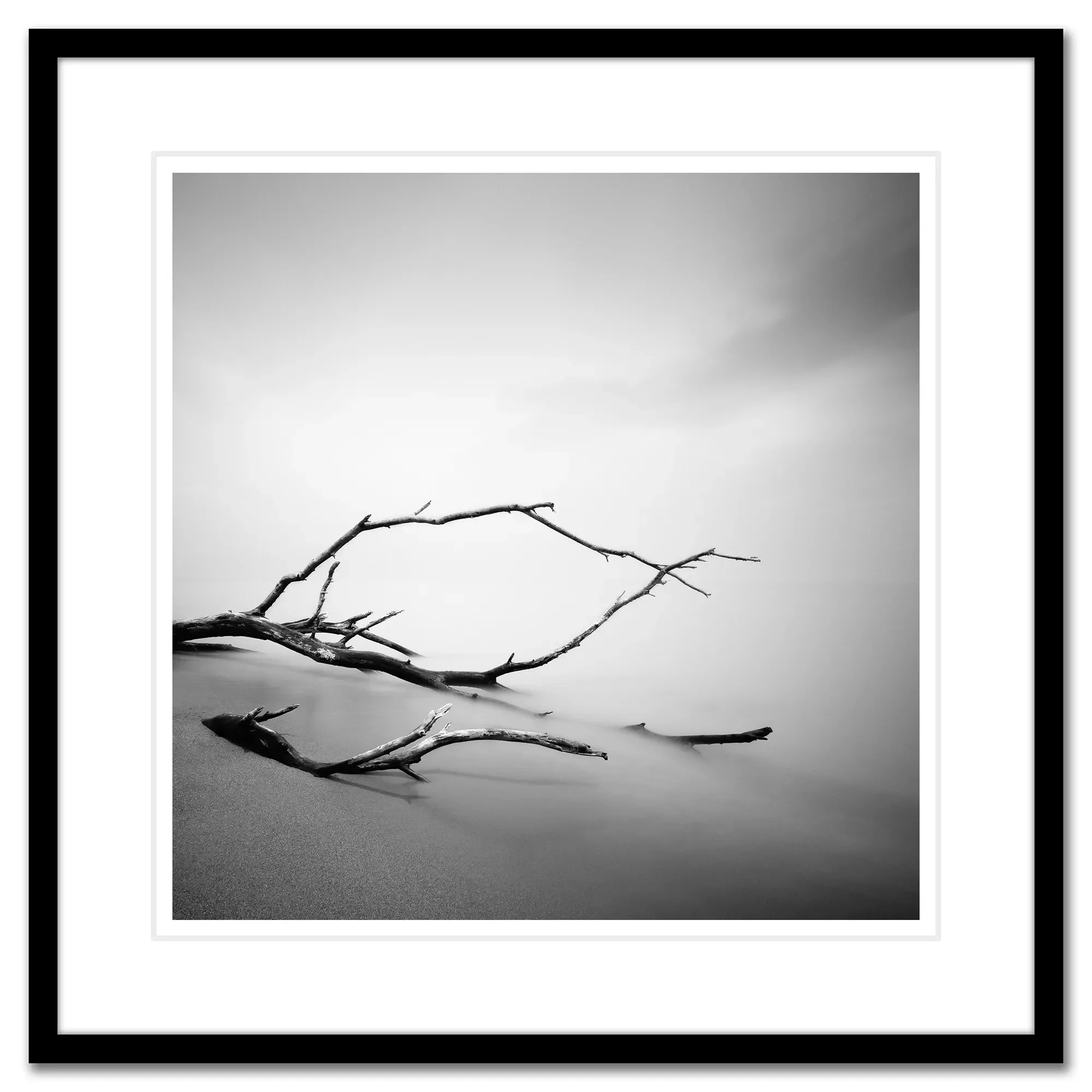 Stranded_Framed.webp