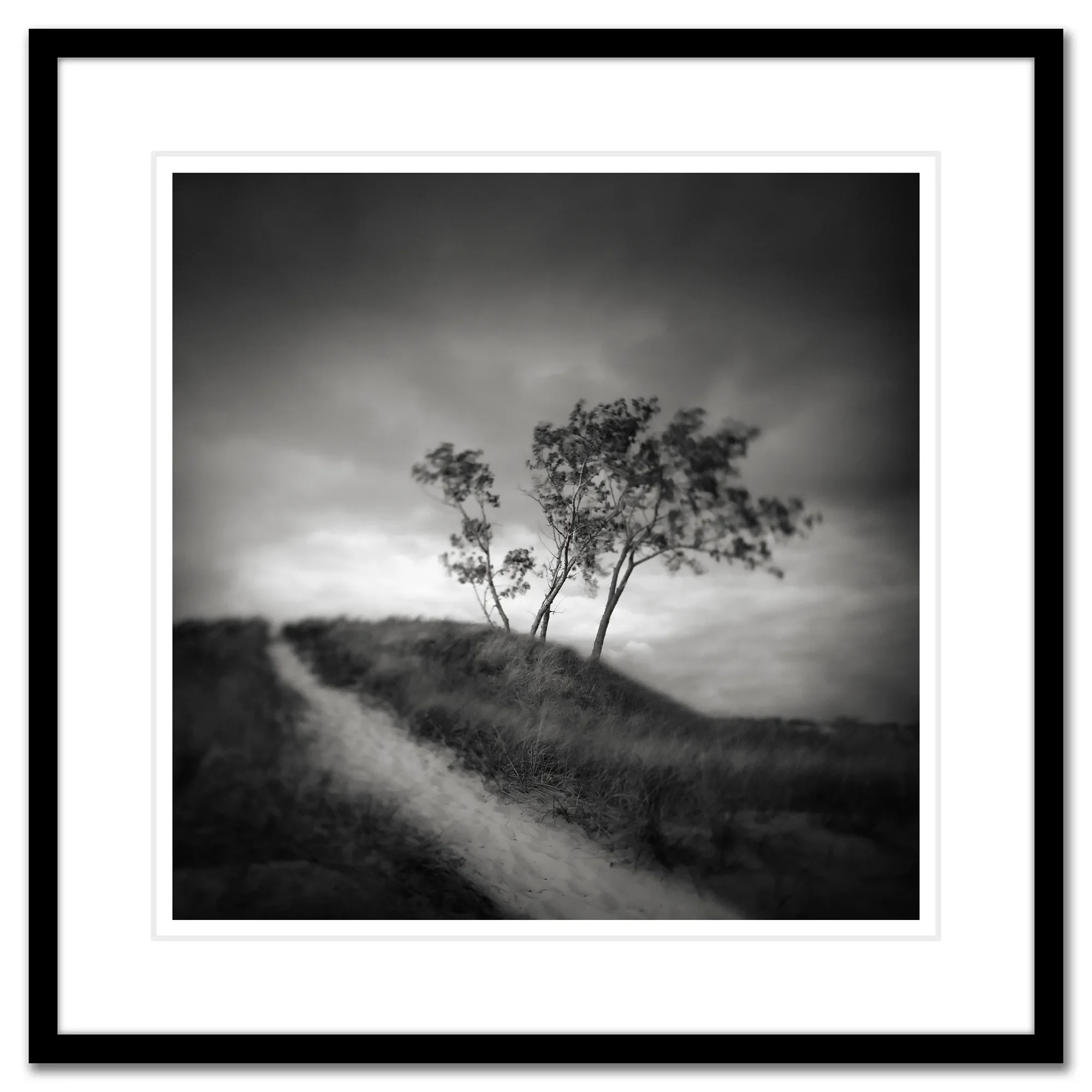 ThePath_Framed.webp
