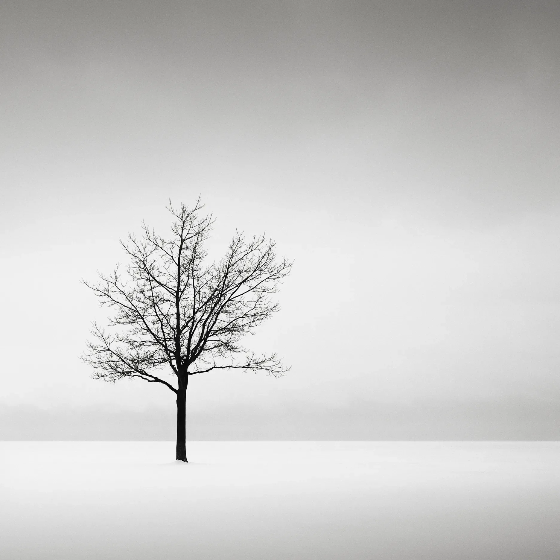 Solitude
