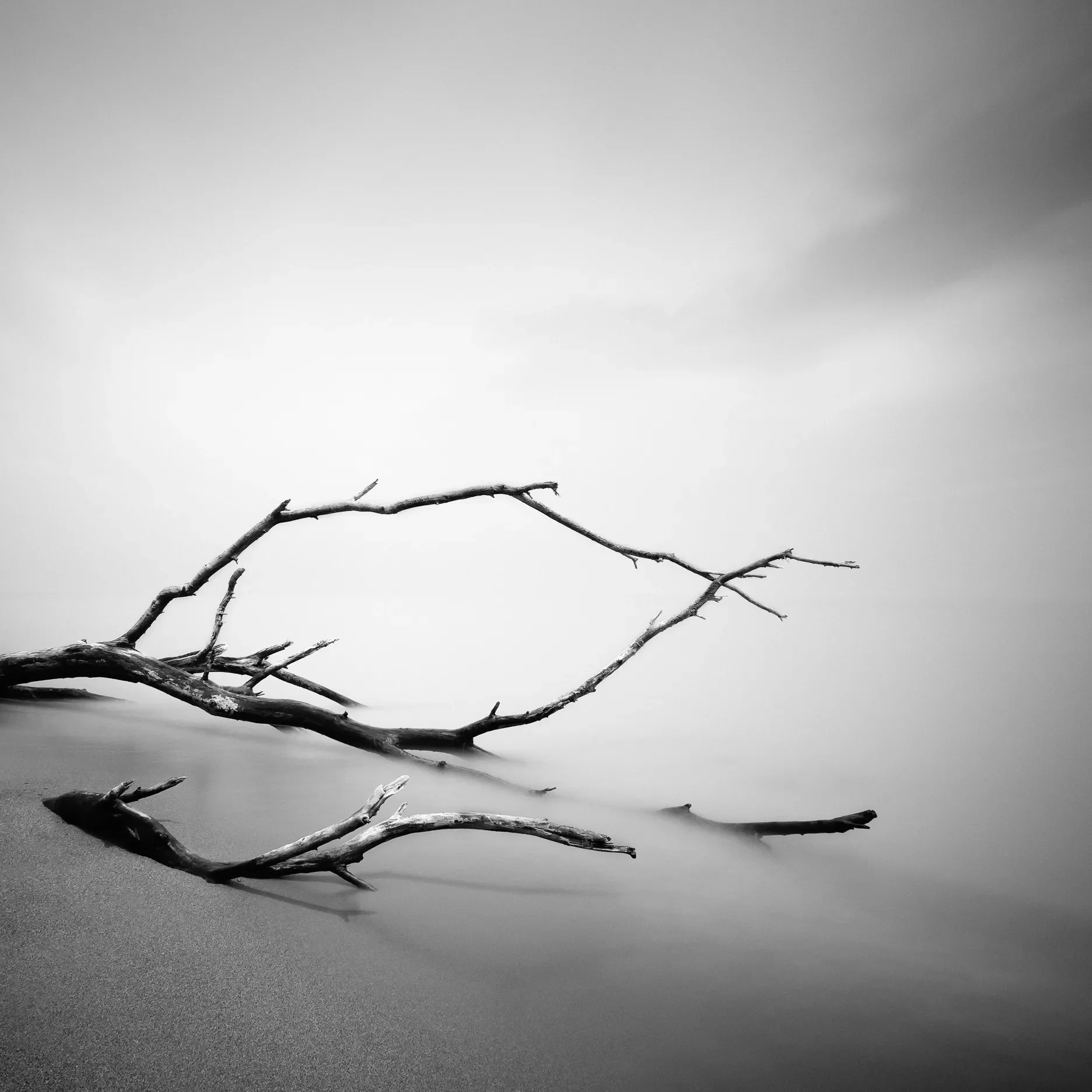 Stranded