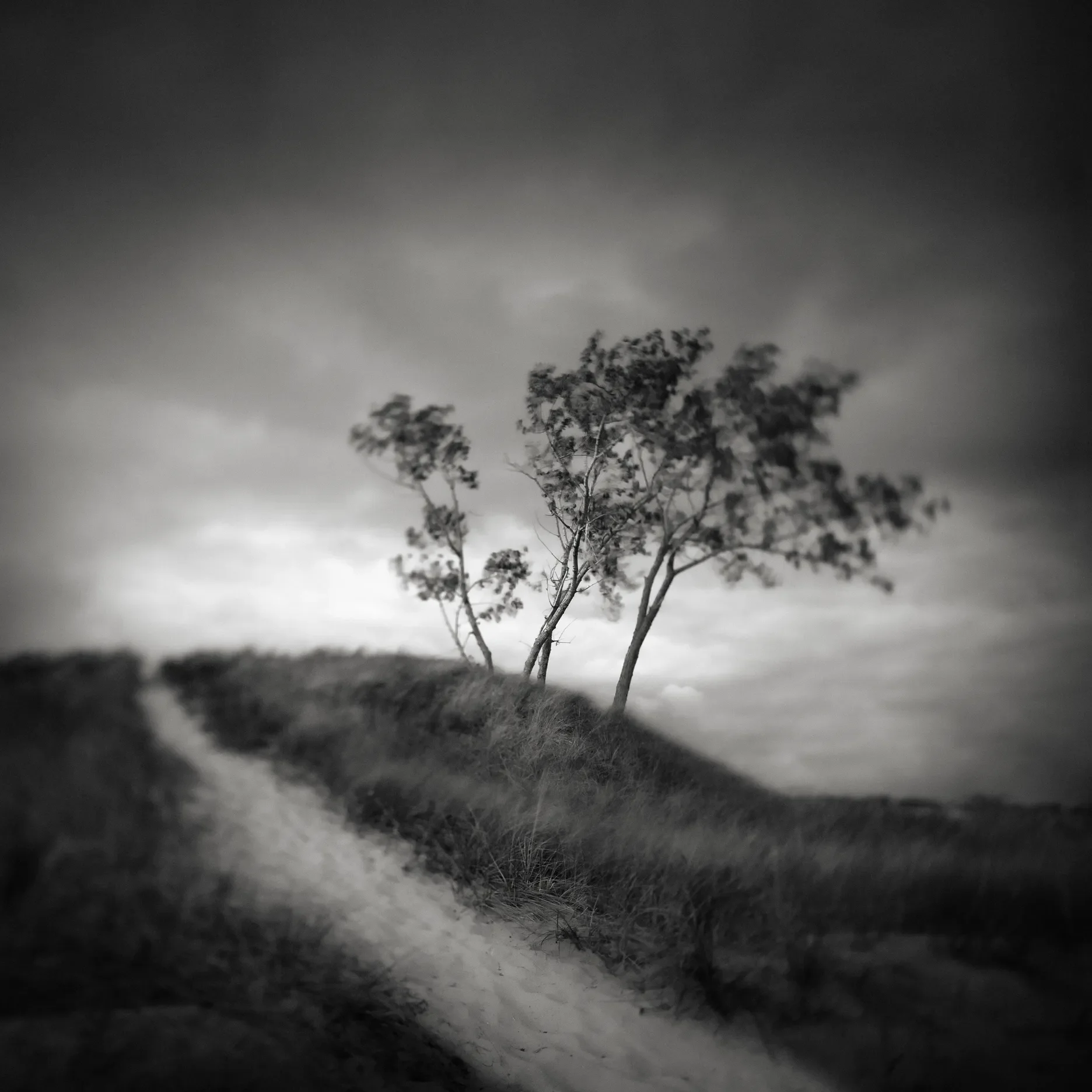 The Path