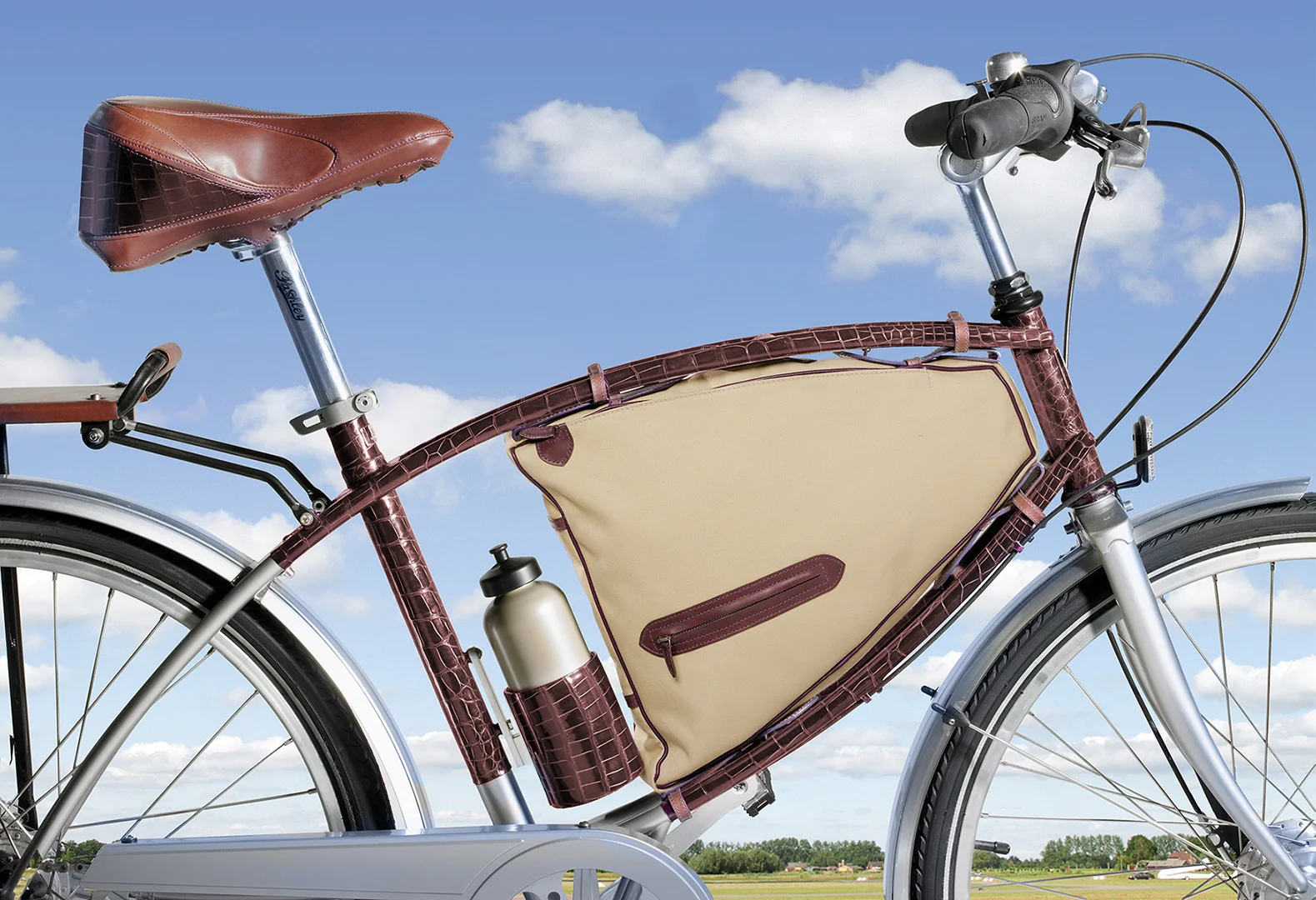 LeatherBike.jpg