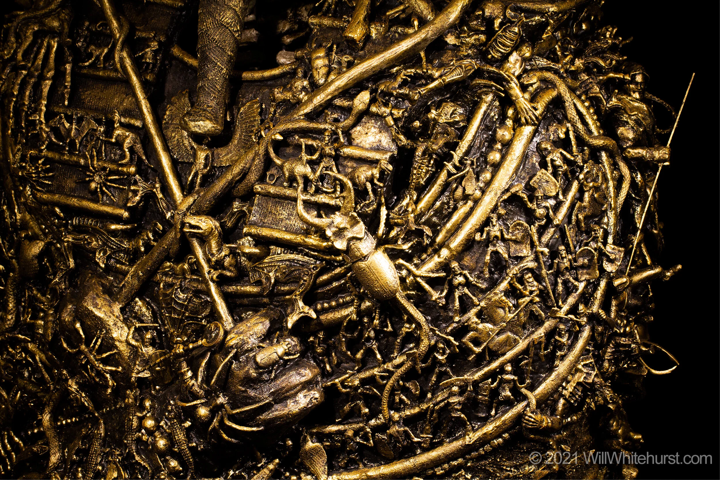 Sarcophagus_GoldBug.jpg