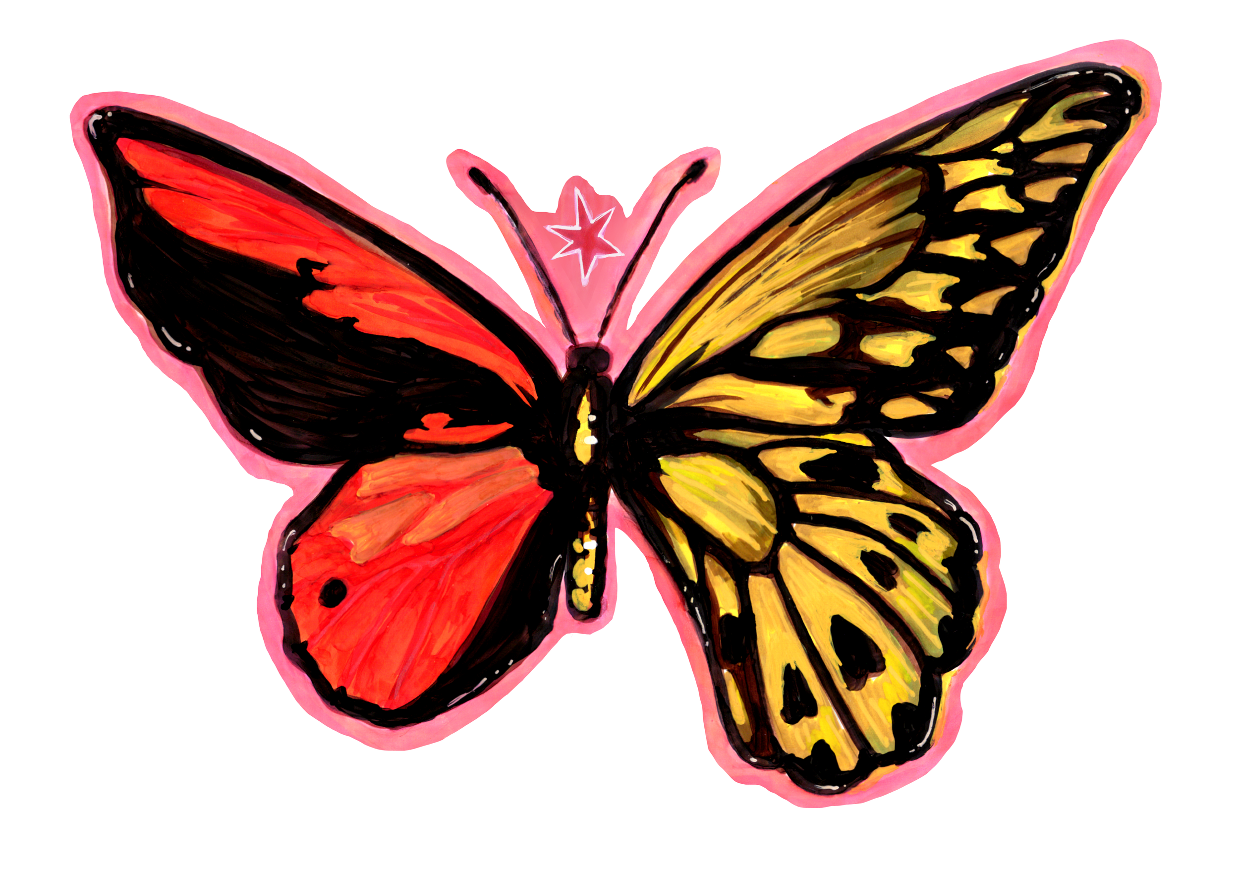 gynandromorph sticker website.png