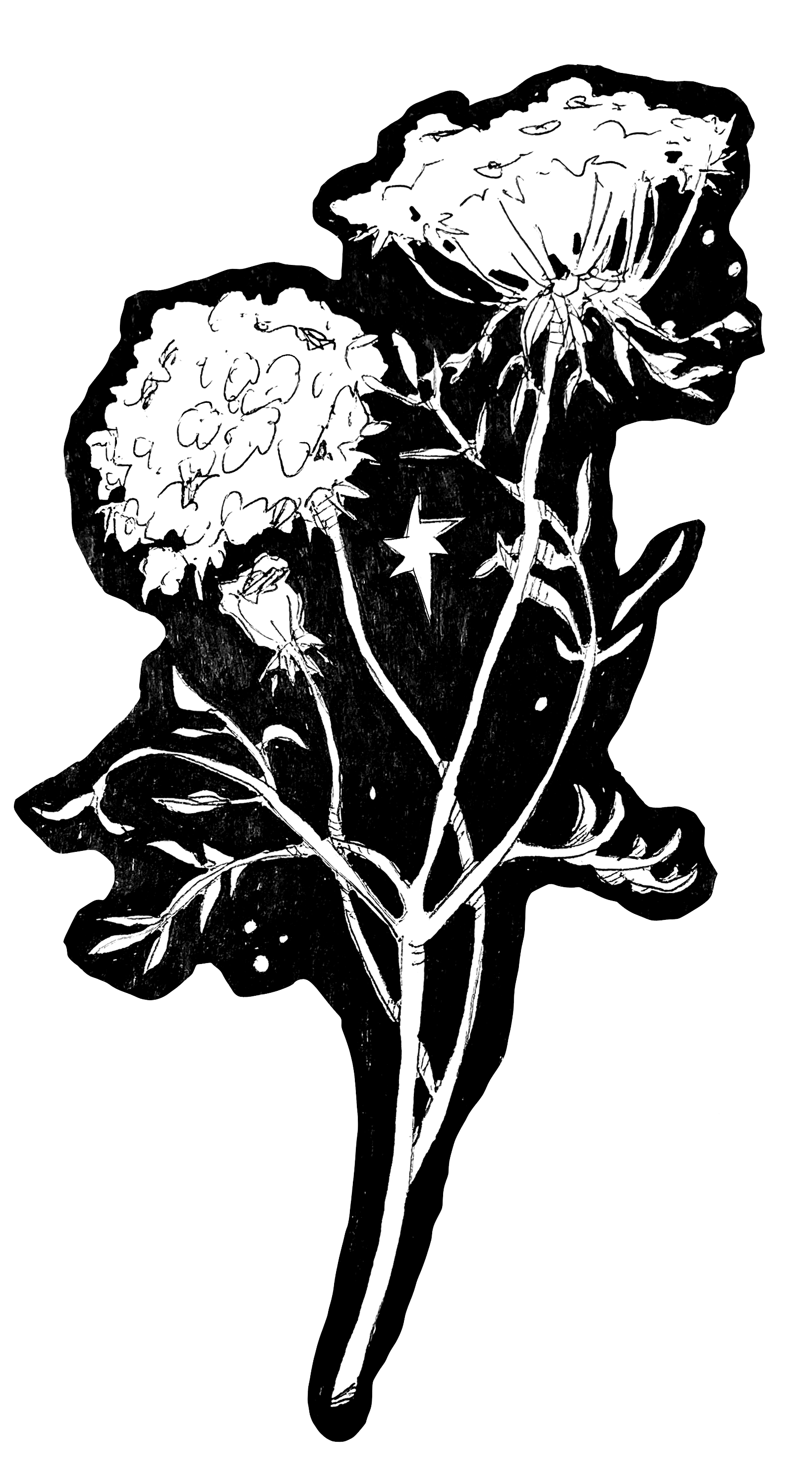 queen anne sticker website.png
