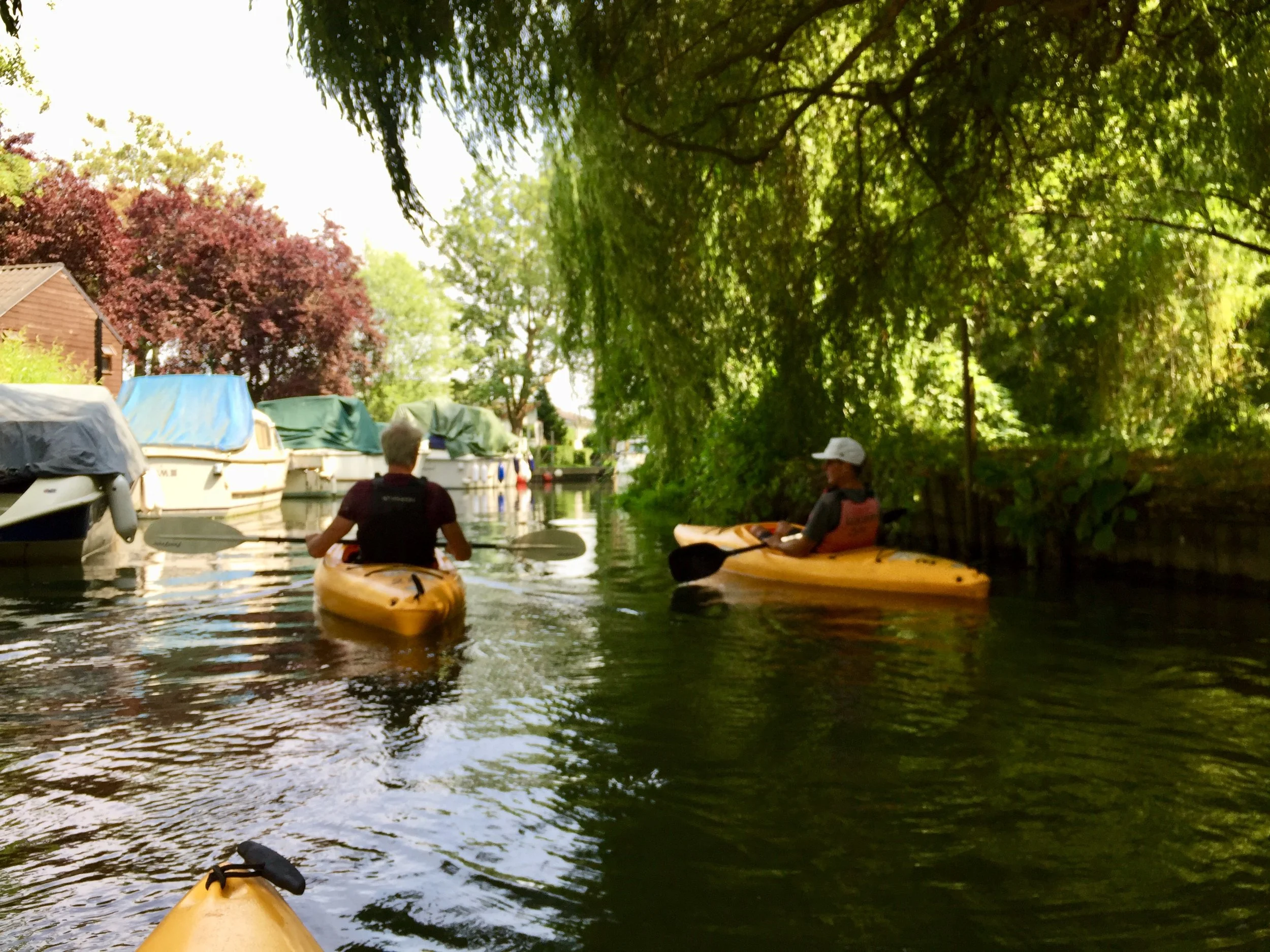 Rowing along willow-lined riverbanks? Yup.