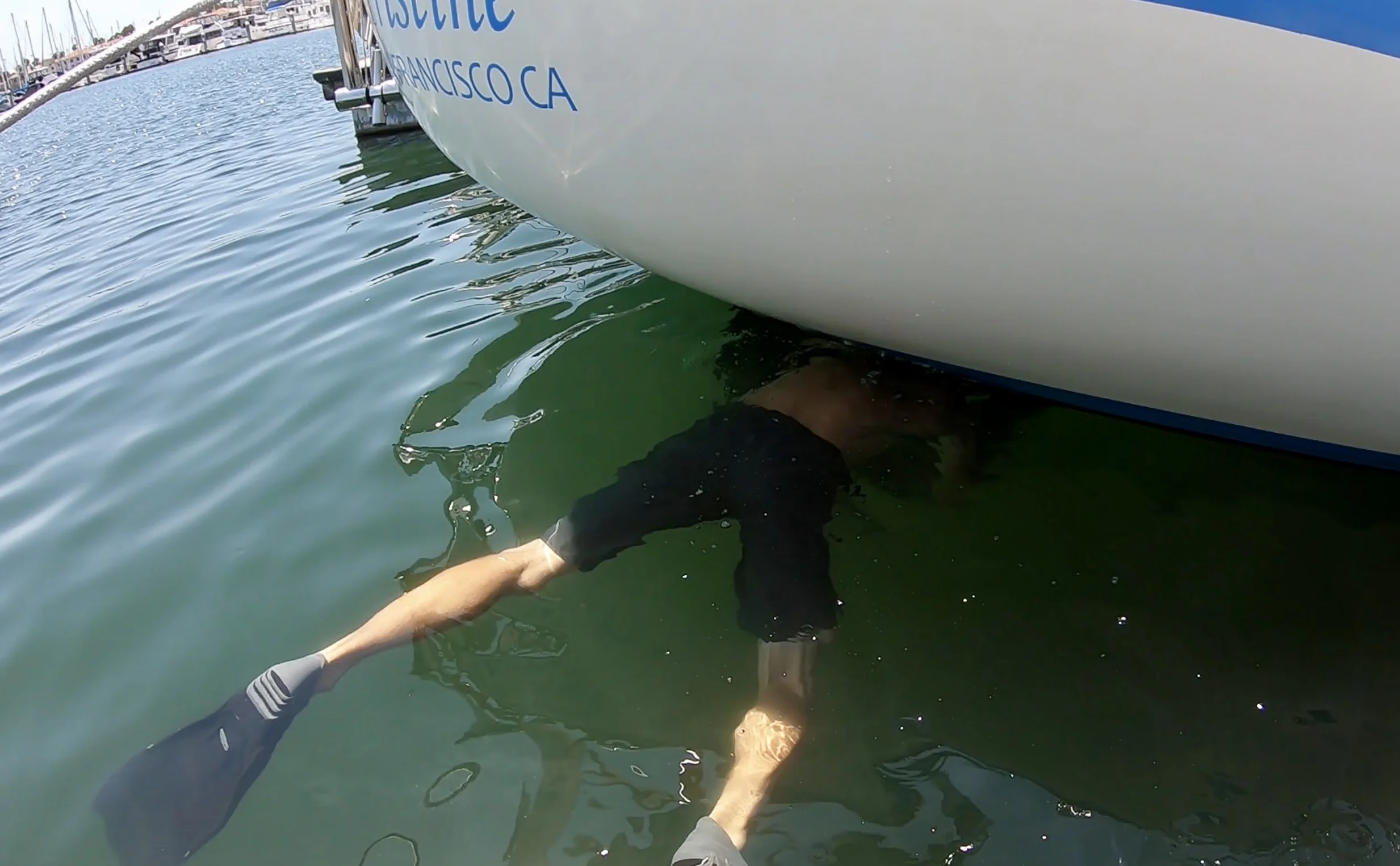 Thanks to warmer water and/or greater electrolysis, our zincs are lasting half as long down south as they did up north