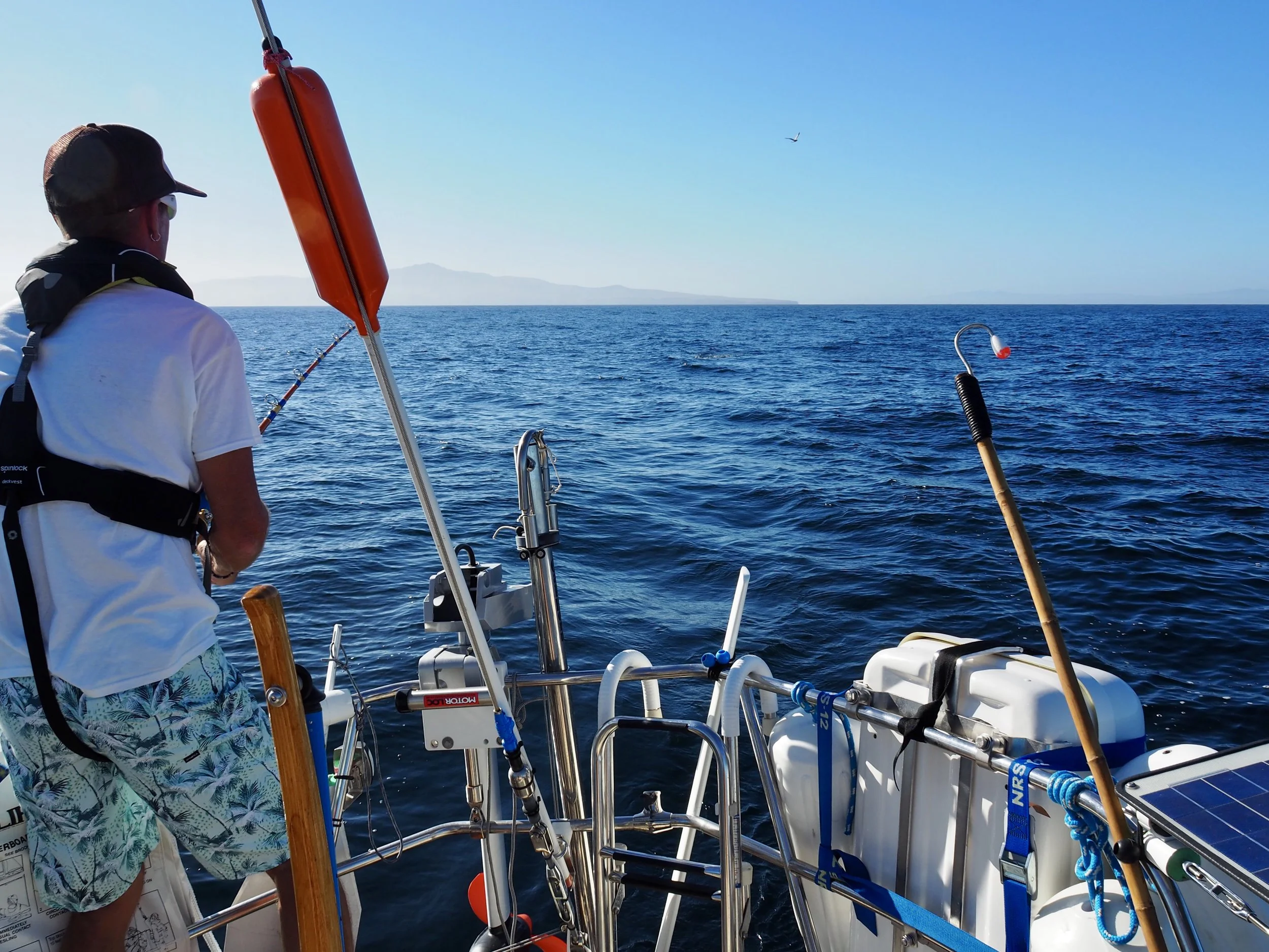 Colin reeling away, back when we thought we might still have dinner on the line.