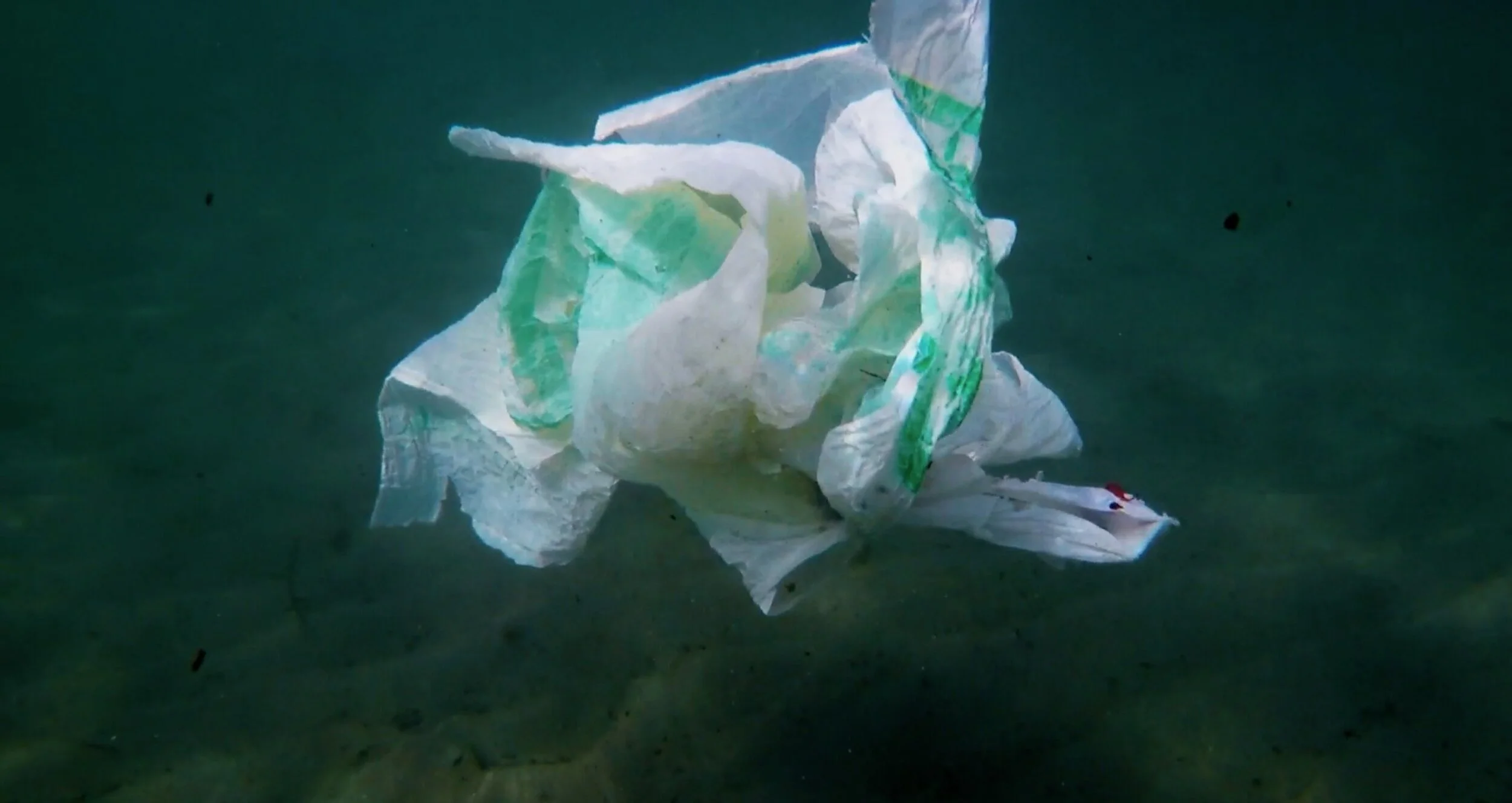 Screen Shot 2020-10-29 at 10.30.45.JPG