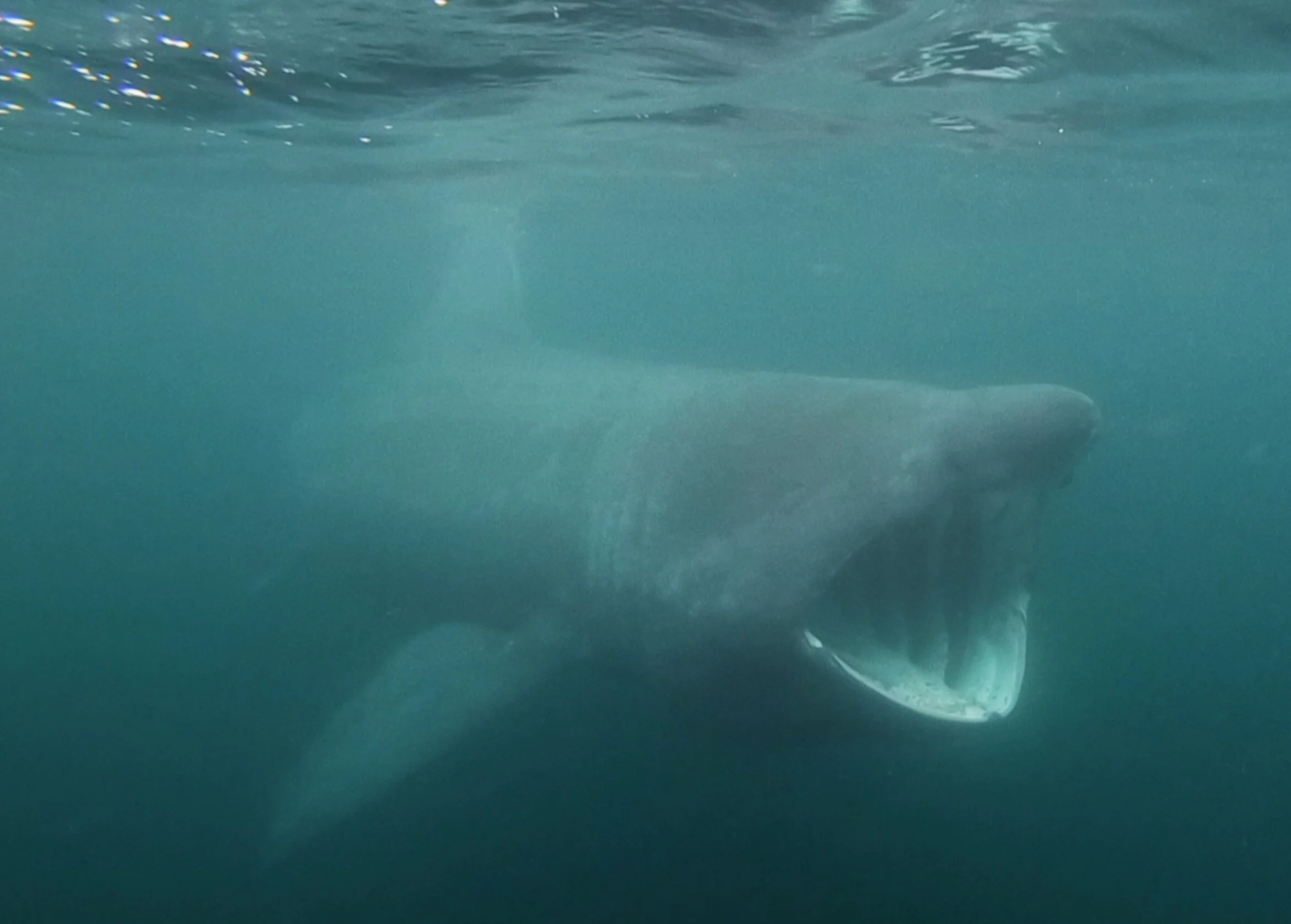 Screen Shot 2020-11-11 at 15.13.28.JPG