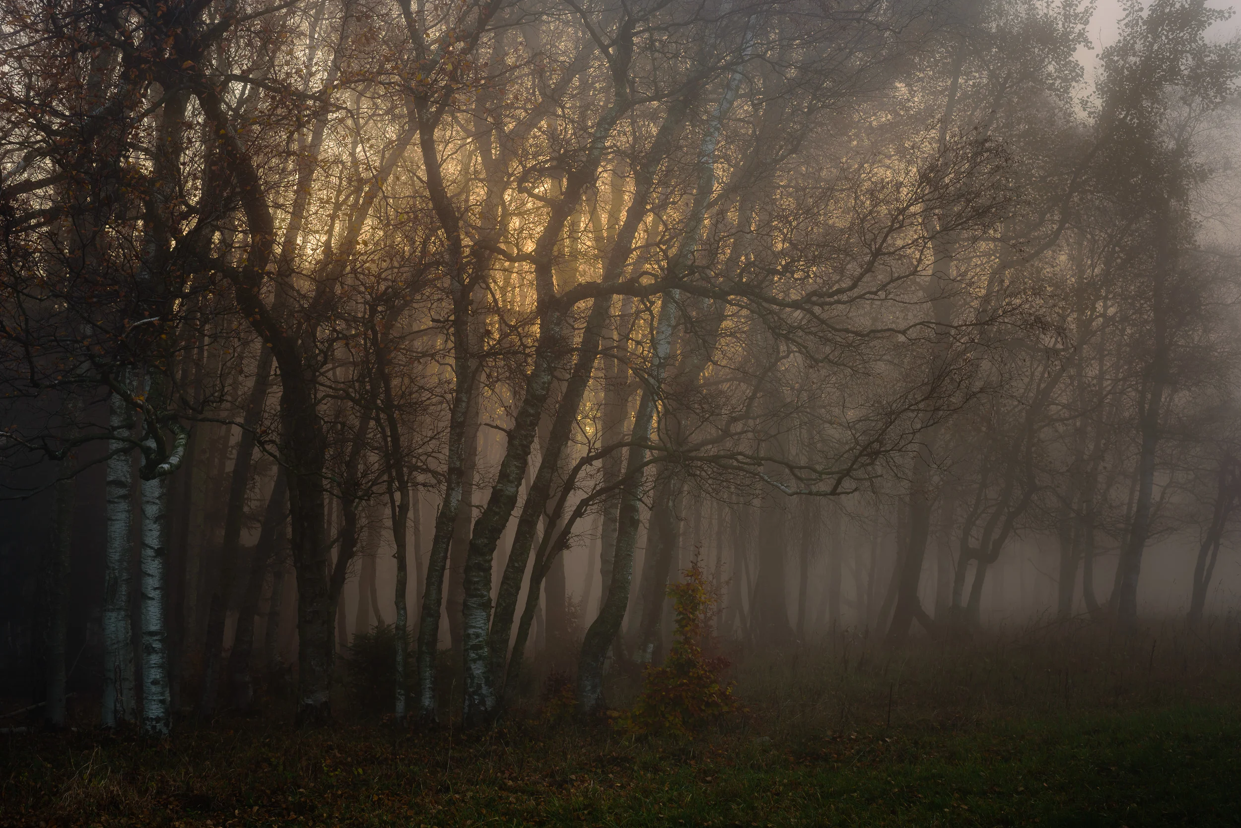  Park Narodowy Gór Stołowych       