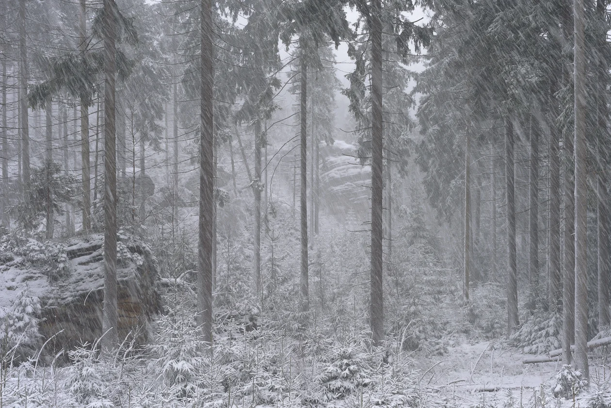 Śnieżyca w Białych Skałach