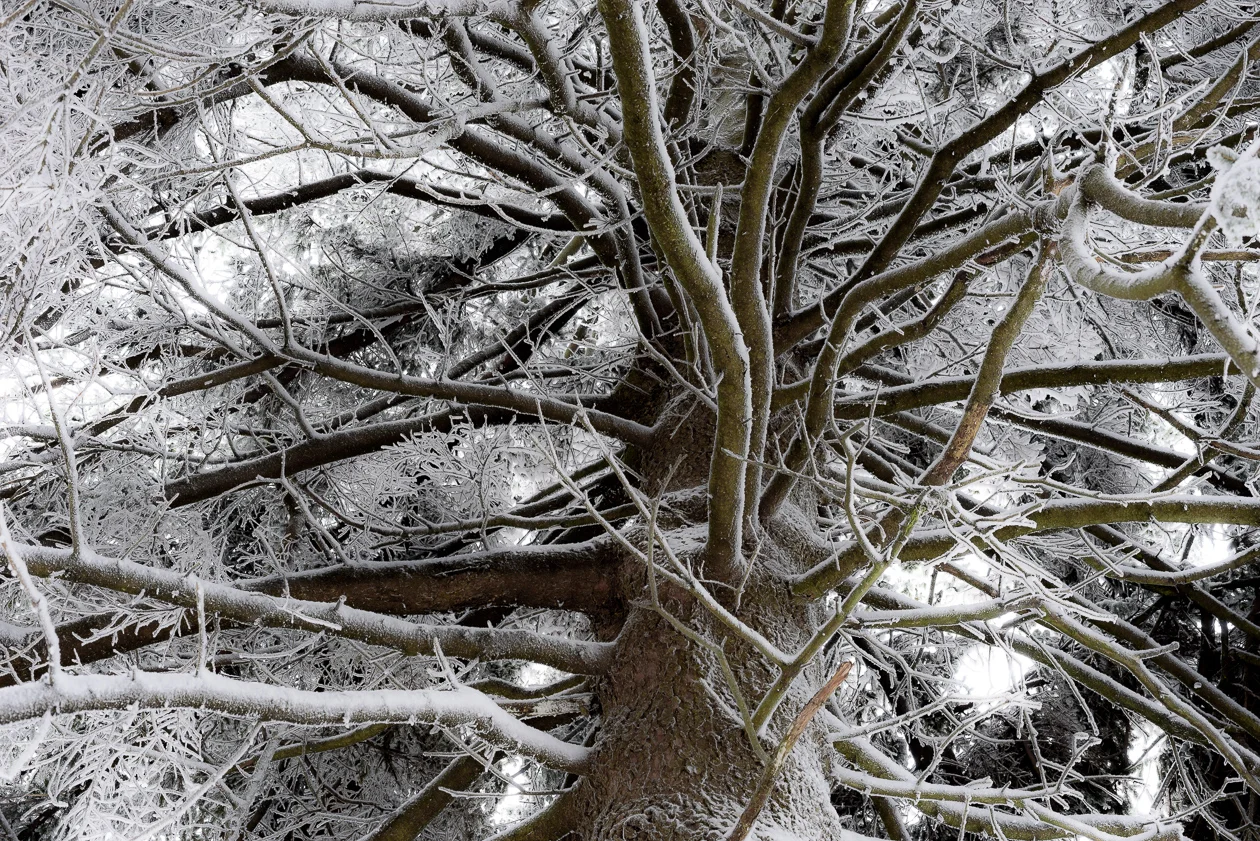  Park Narodowy Gór Stołowych       