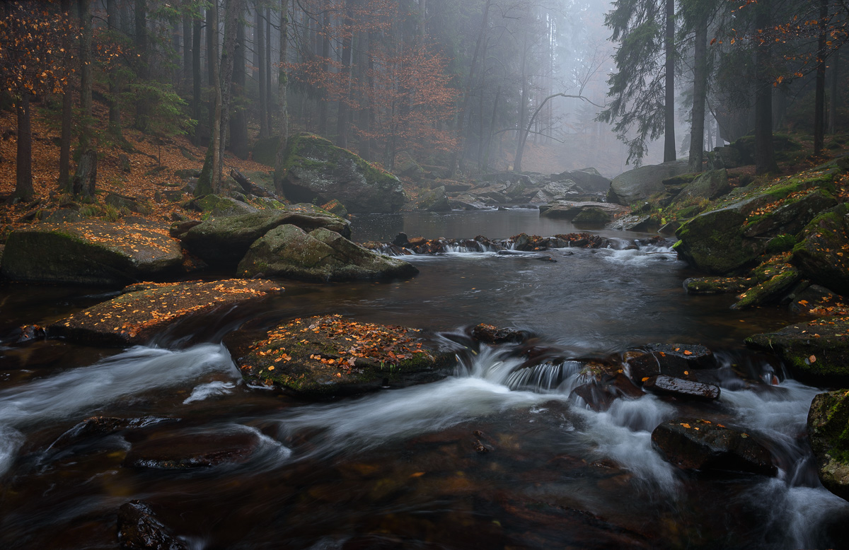 Przełom Dzikiej Orlicy