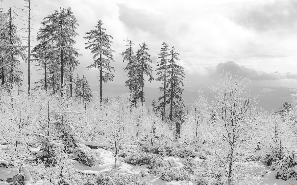 Wierzchowina Skalniaka