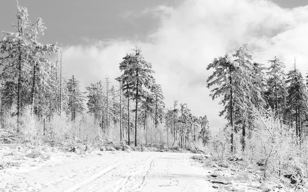 Wierzchowina Skalniaka