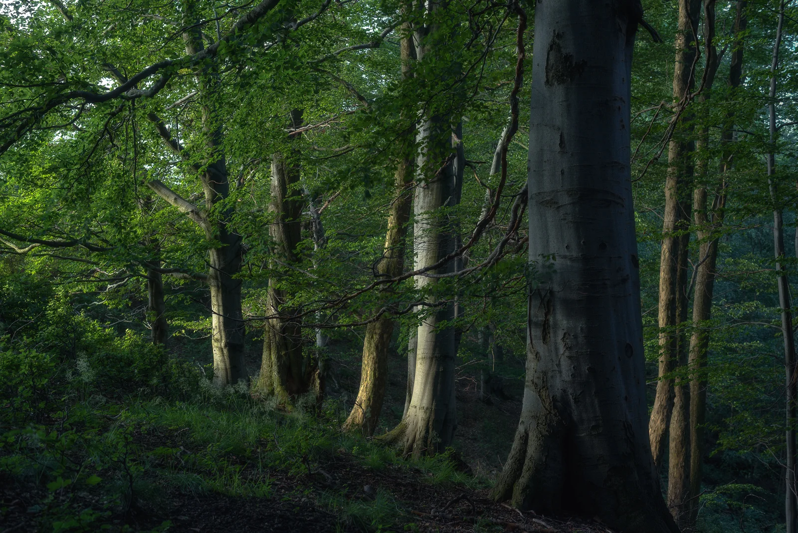  Park Narodowy Gór Stołowych       