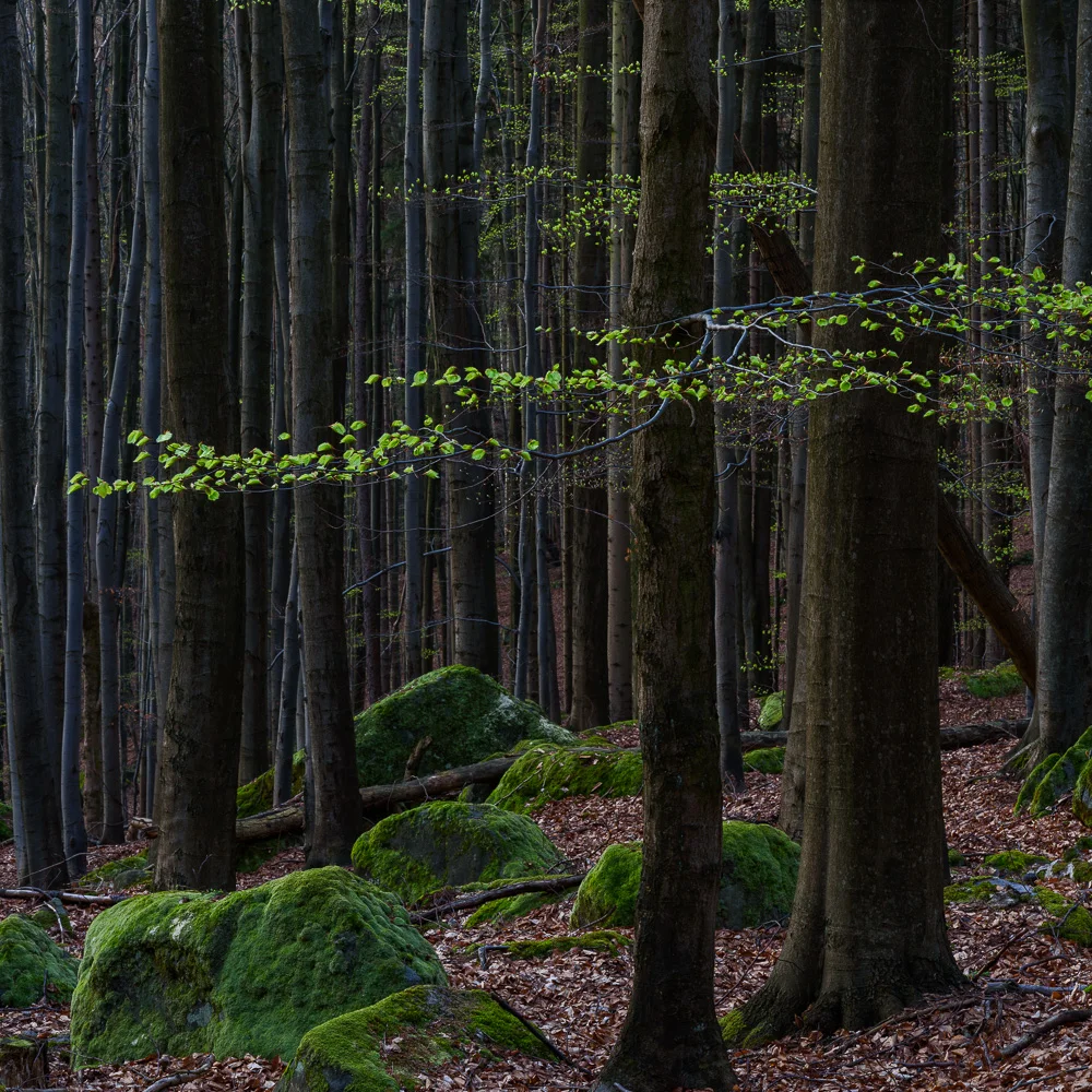 Park Narodowy Gór Stołowych       