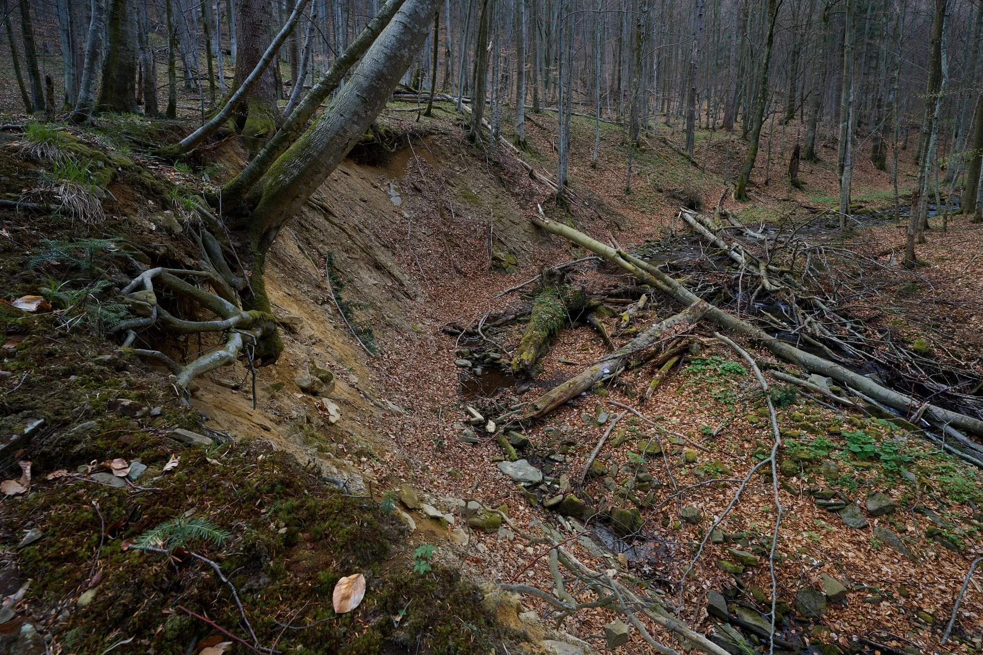 Zakręt śmierci