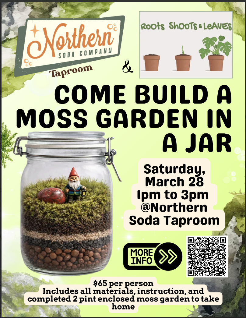Build a Moss Garden in a Jar!!