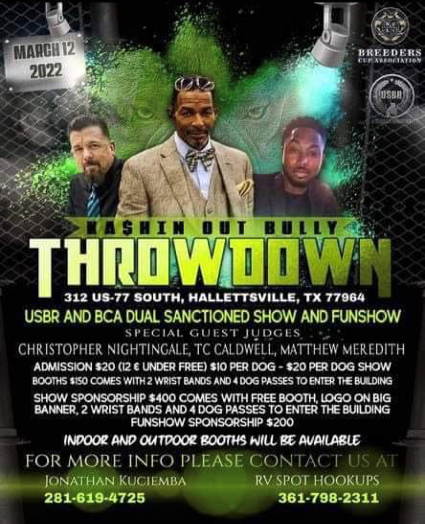 Kashin Out Bully Throwdown