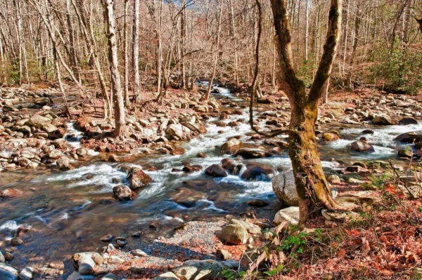 MiddleProngofPigeonRiverC42-27HD.jpg