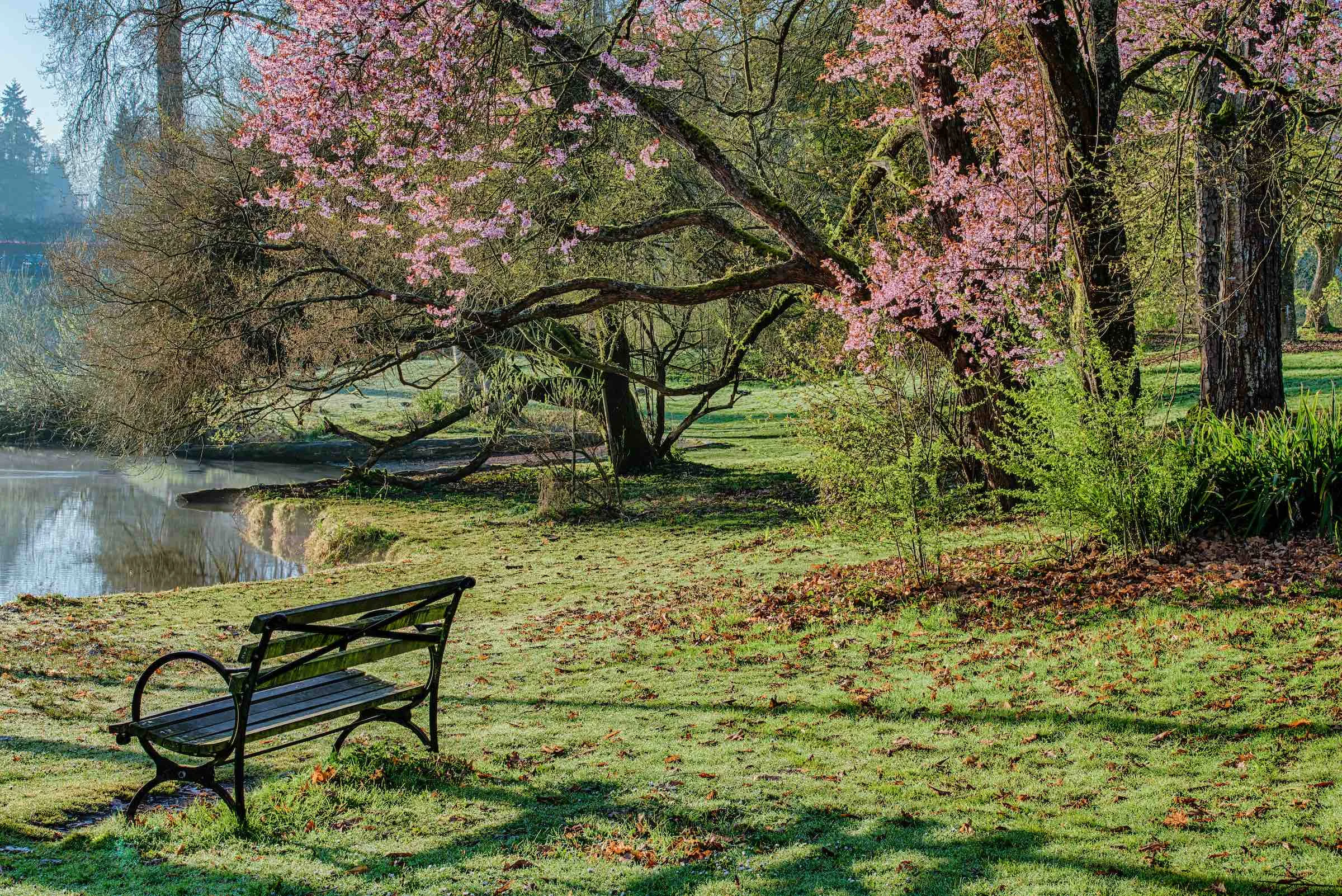Washington Park Arboretum P34-11_HDRPS.jpg