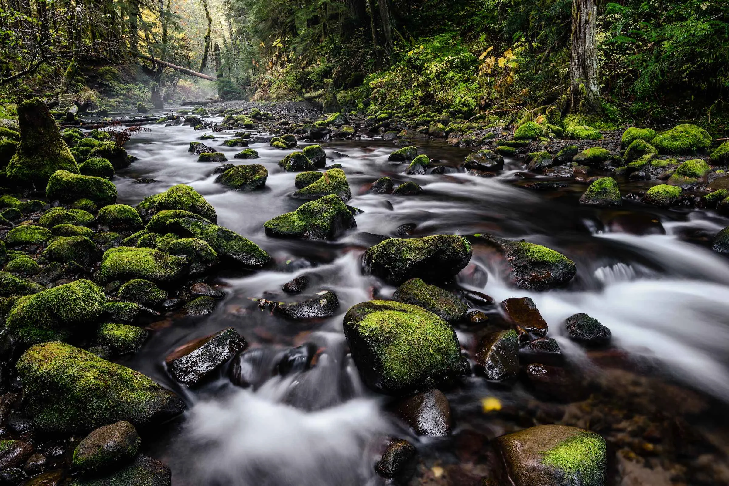 Lost Creek, Oregon. © given photography 2018