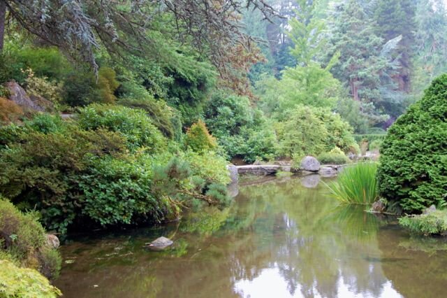 Kubota Garden Pond