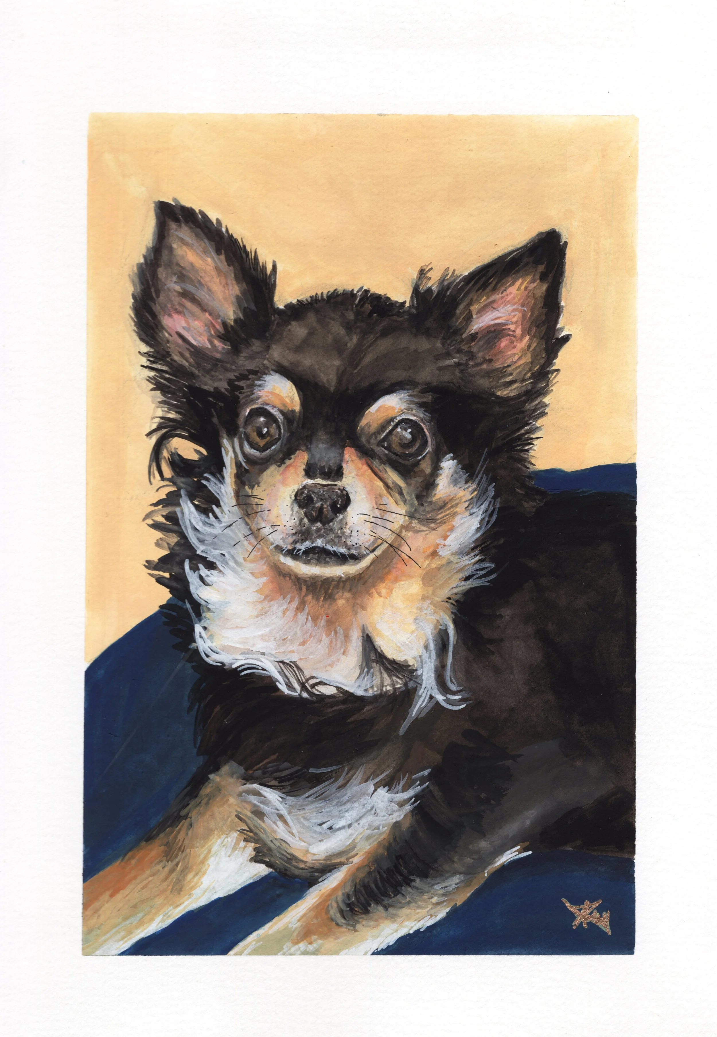 3 Tips For Creating Expressive Pet Portraits