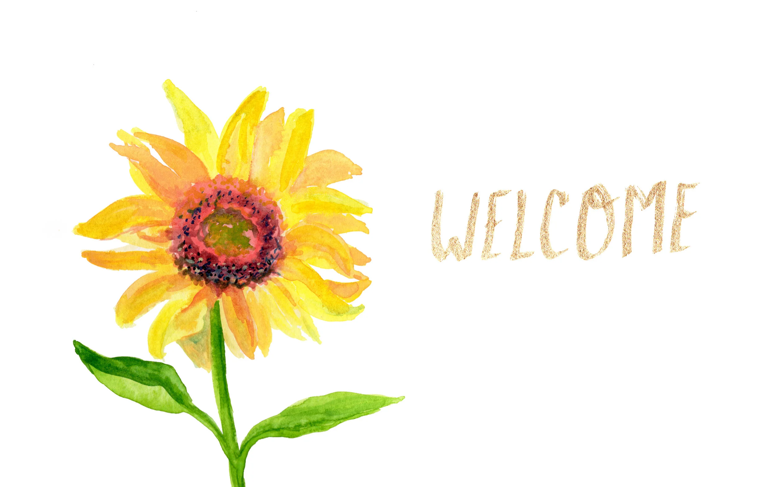 banner2.jpg