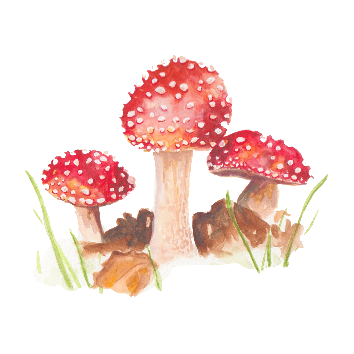  Creative watercolor illustration and fine art.  
