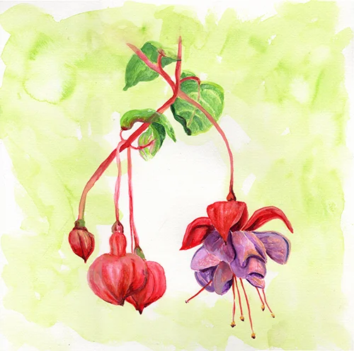 hangingflower_sm.jpg