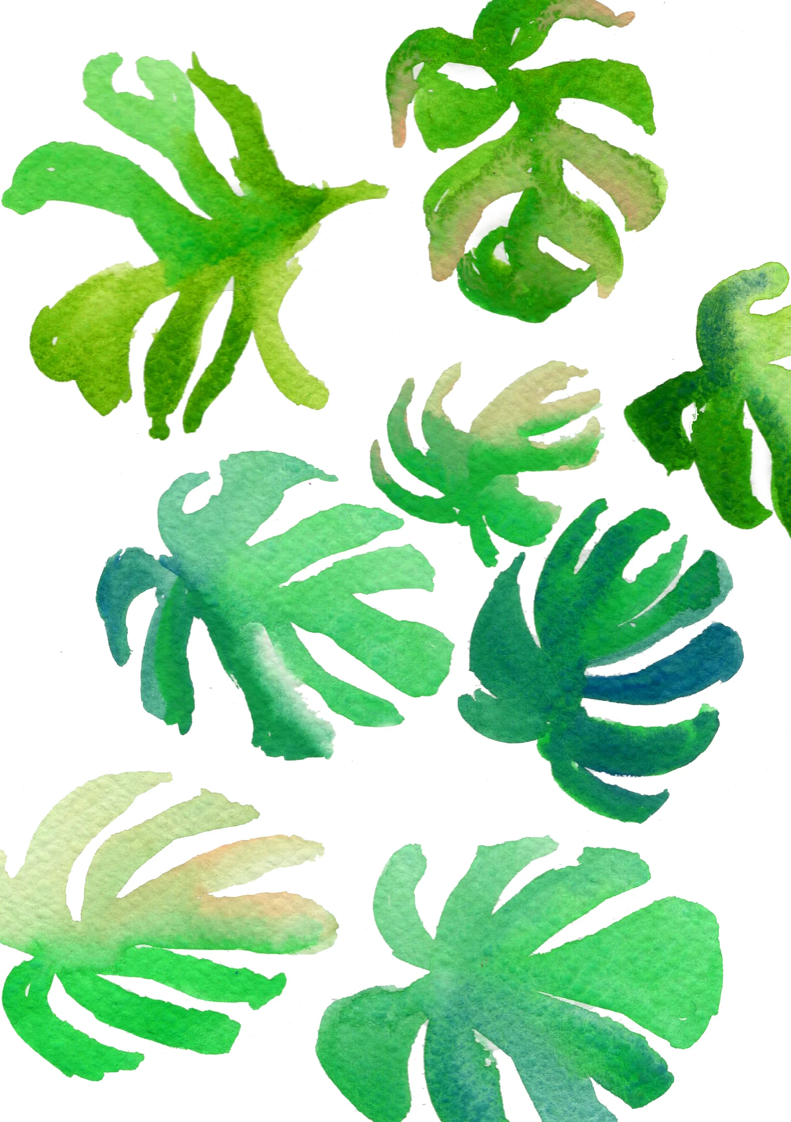 patternfloral.jpg
