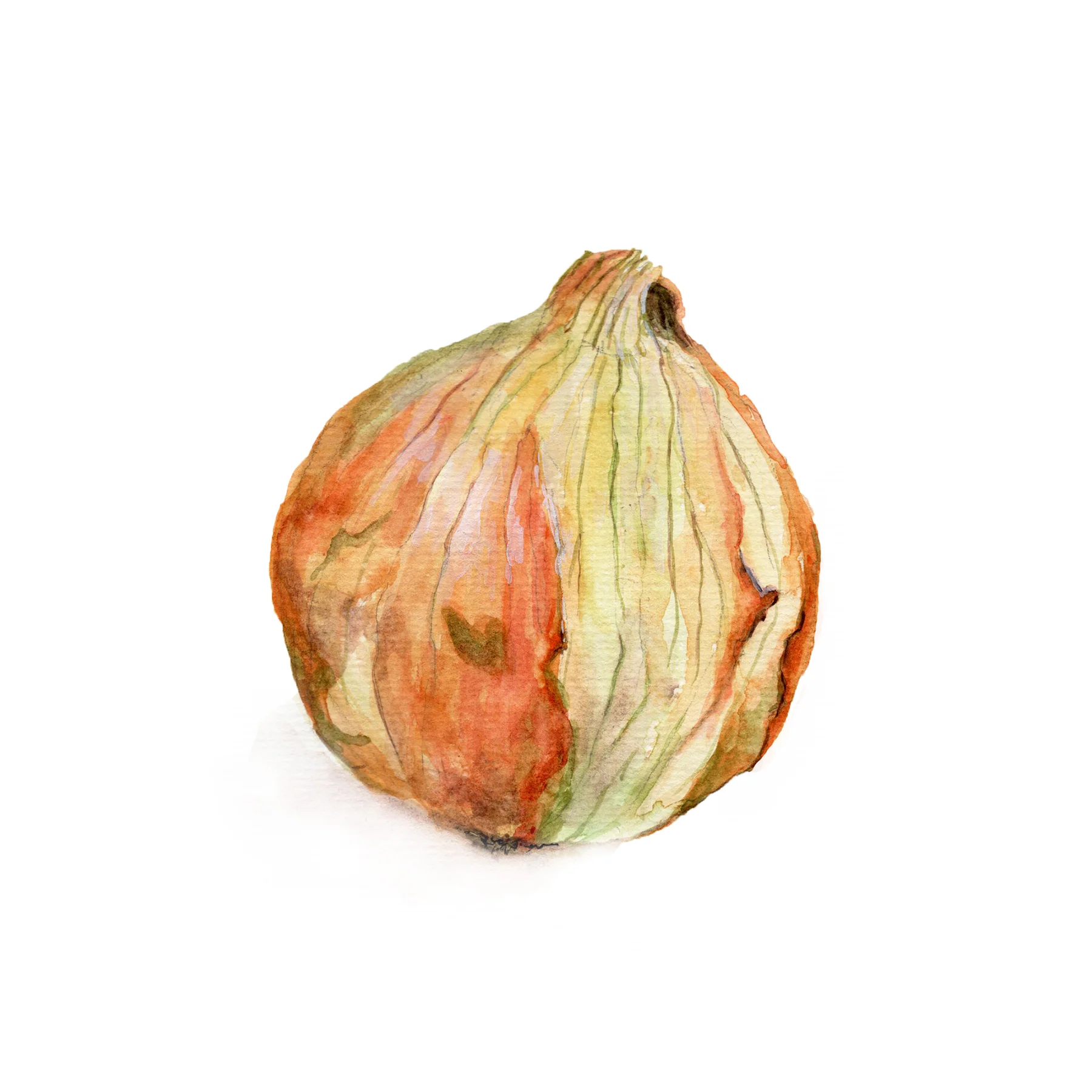 onion realism.jpg