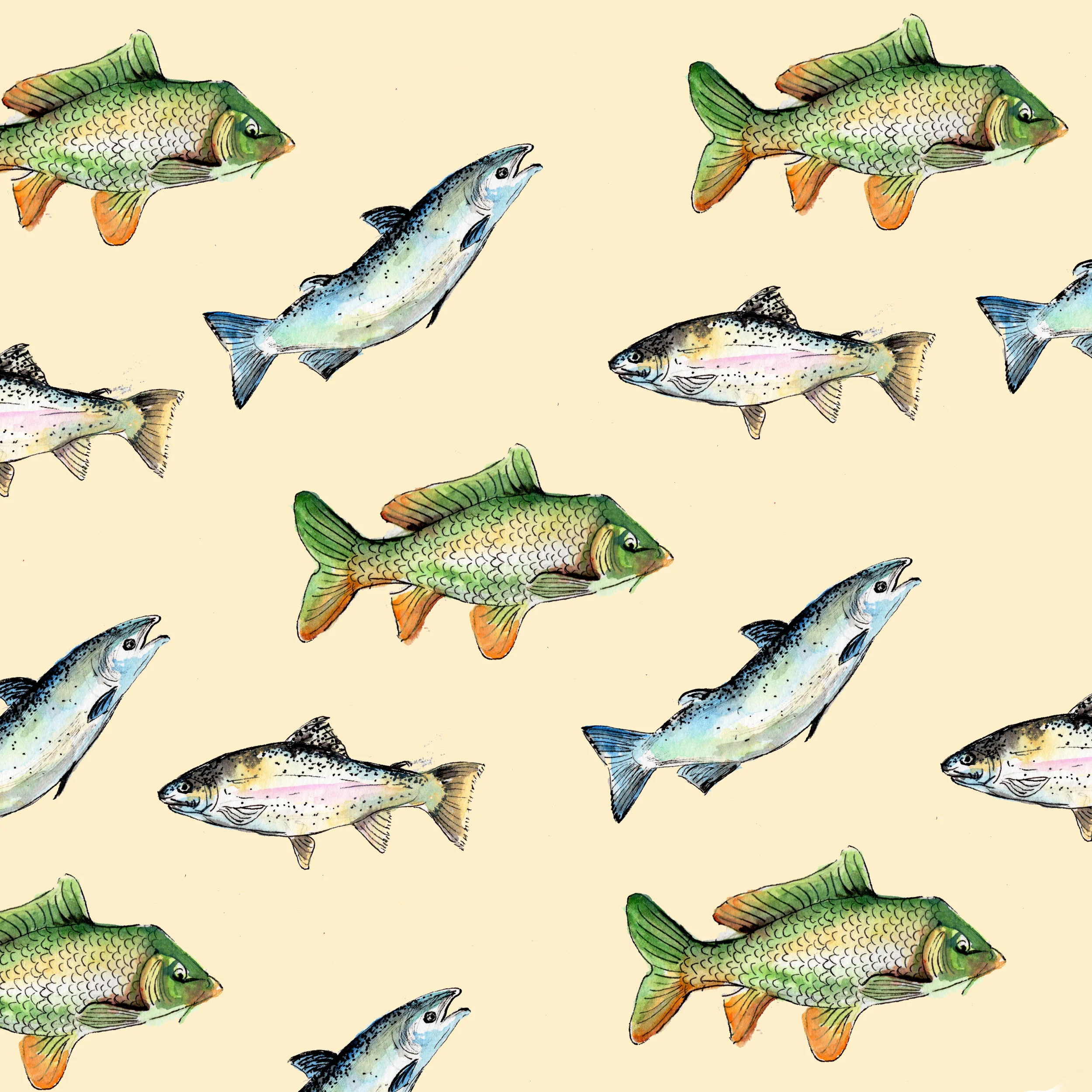 FIshes.jpg