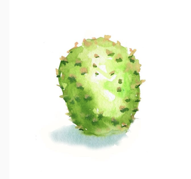 #succulentjuly I'm doing a 30-day challenge! 