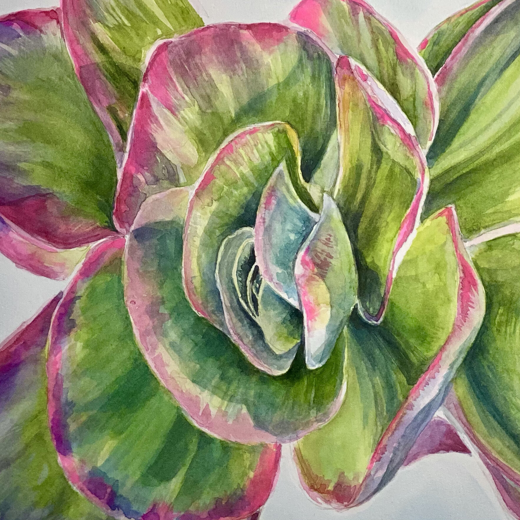 Succulent Giclee Art Print: Into the Sunlight