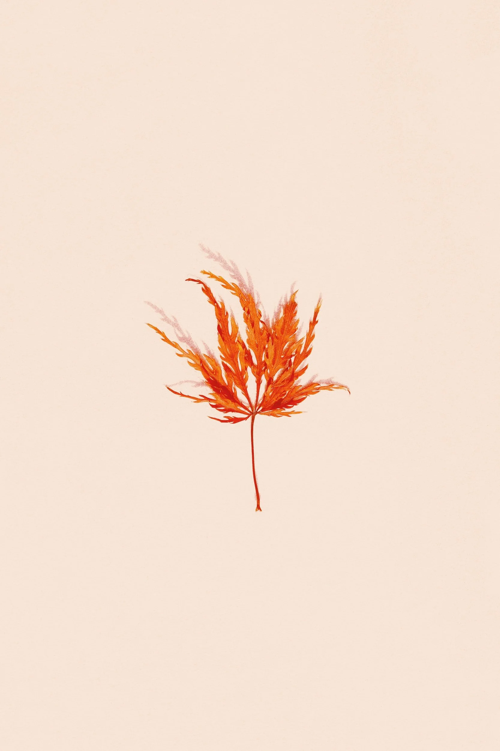 Why Illustration is Important - Discovering the field of illustration