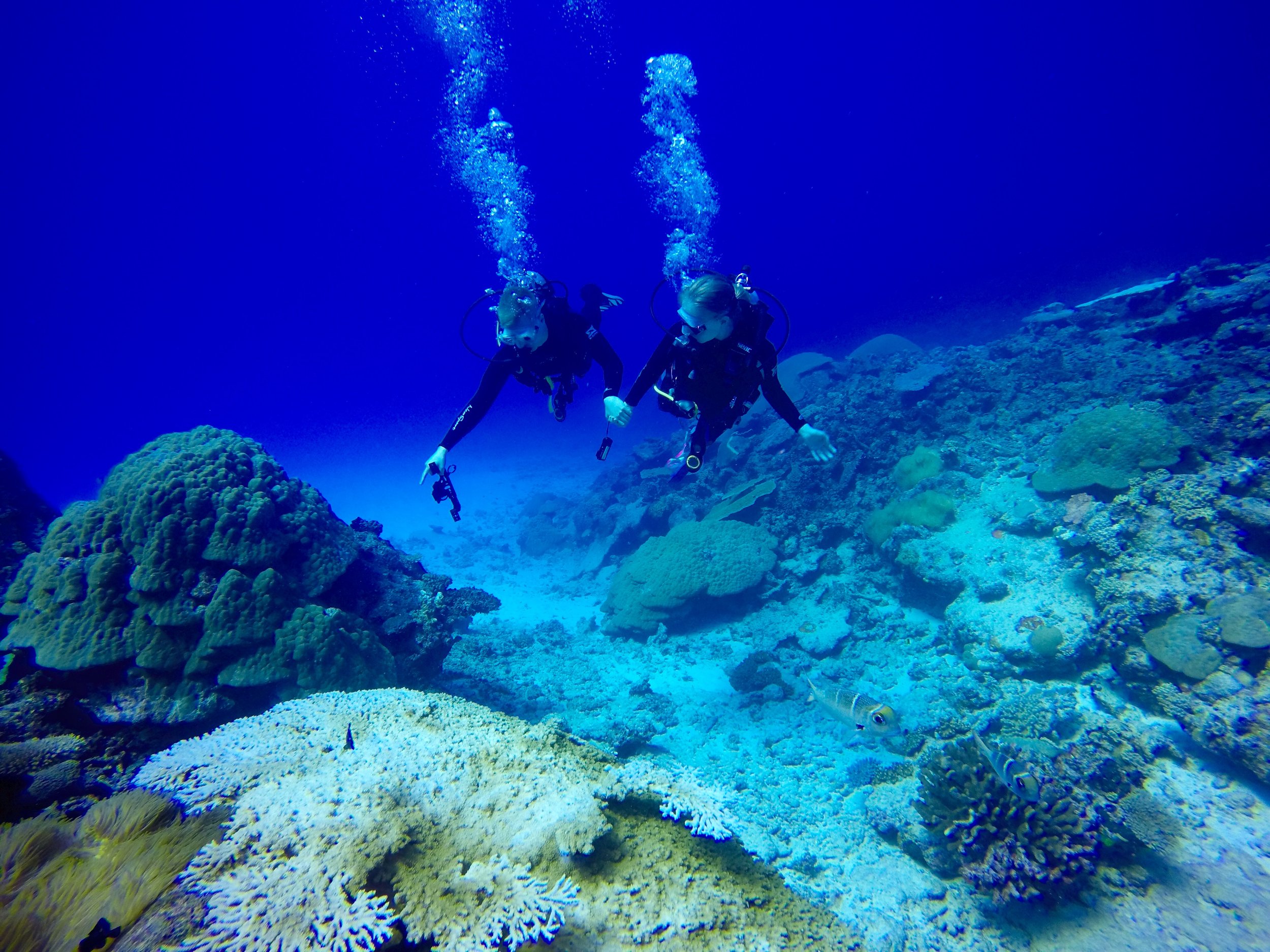 holding hands whilst scuba diving.jpg